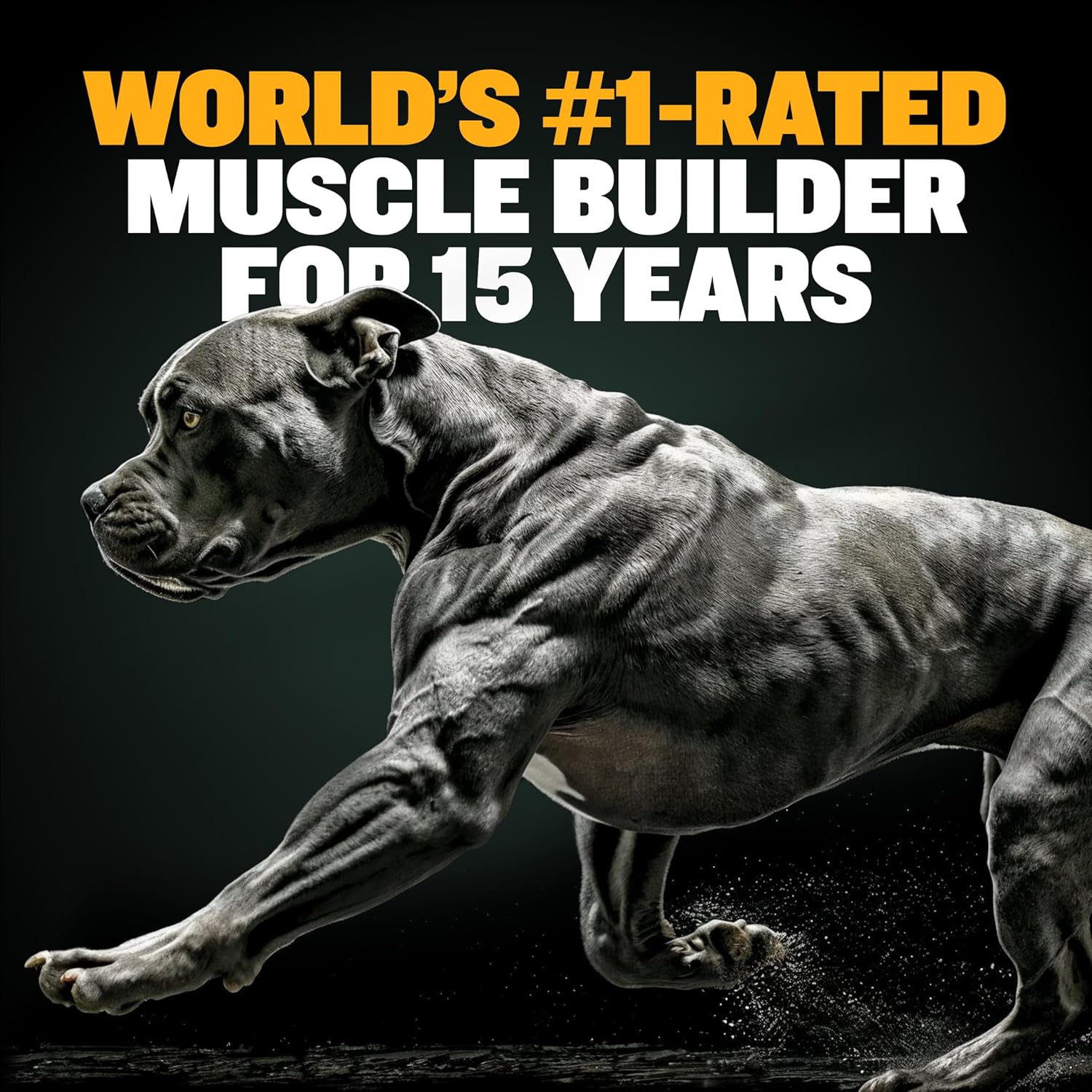 Delicious Bully Max Muscle Builder Soft Chews for Dogs - Training Supplements for Muscle Gain - Dog Food Topper for All Breeds & Ages