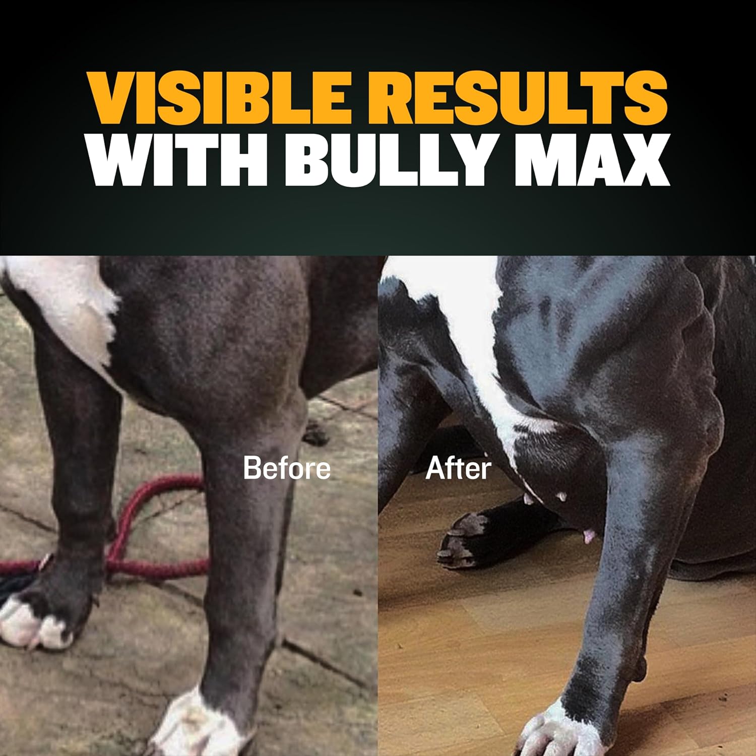Delicious Bully Max Muscle Builder Soft Chews for Dogs - Training Supplements for Muscle Gain - Dog Food Topper for All Breeds & Ages