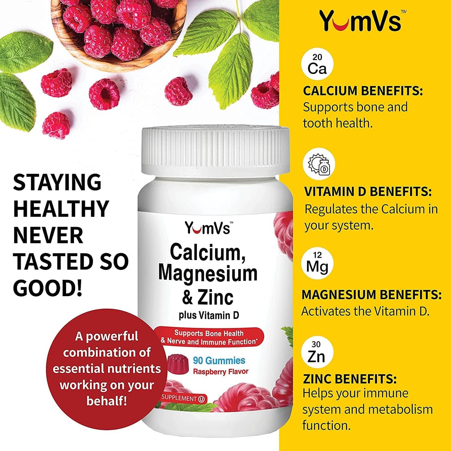 Delicious Calcium, Magnesium, Zinc, and Vitamin D Gummies - 90 Count Bone Health Supplement for Men, Women, and Kids - YUM-V'S Gummy