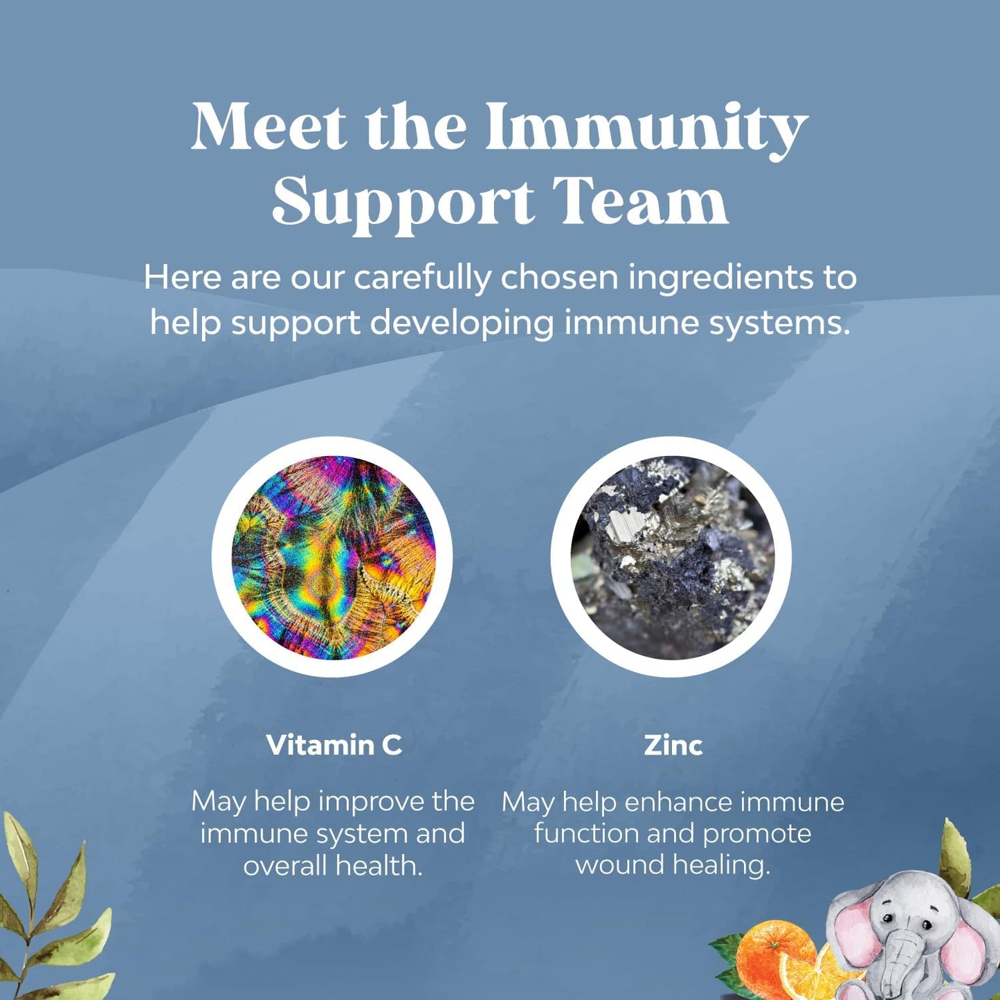 Delicious Vegan Kids Immunity Gummies with Vitamin C, Zinc, and Echinacea - Gluten-Free Chewable Supplement