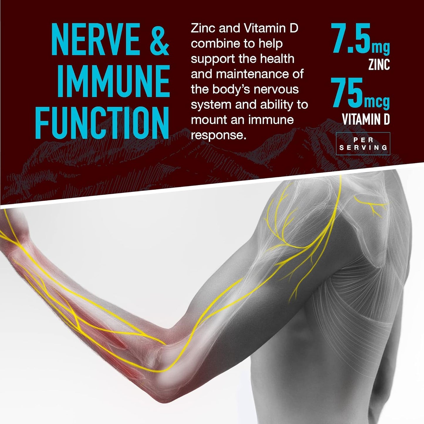 Delicious YUM-V'S Calcium, Magnesium, Zinc, and Vitamin D Gummies for Bone Health (90 Count)