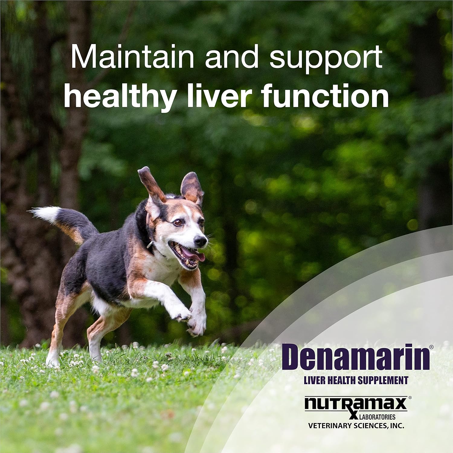 Denamarin Liver Health Supplement for Medium Dogs - 30 Tablets, with SAMe and Silybin