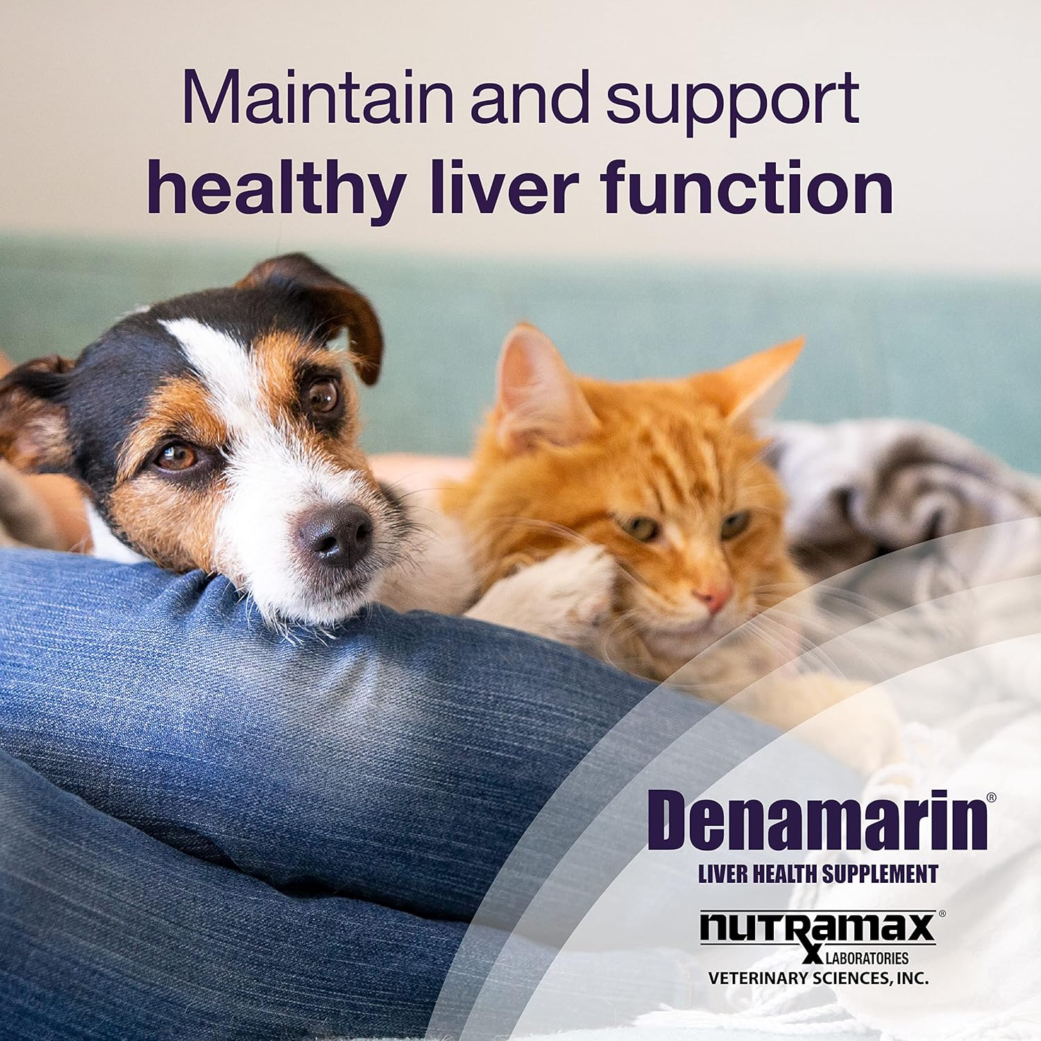 Denamarin Liver Health Supplement for Small Dogs and Cats - Supports Liver Function with SAMe and Silybin, 30 Tablets