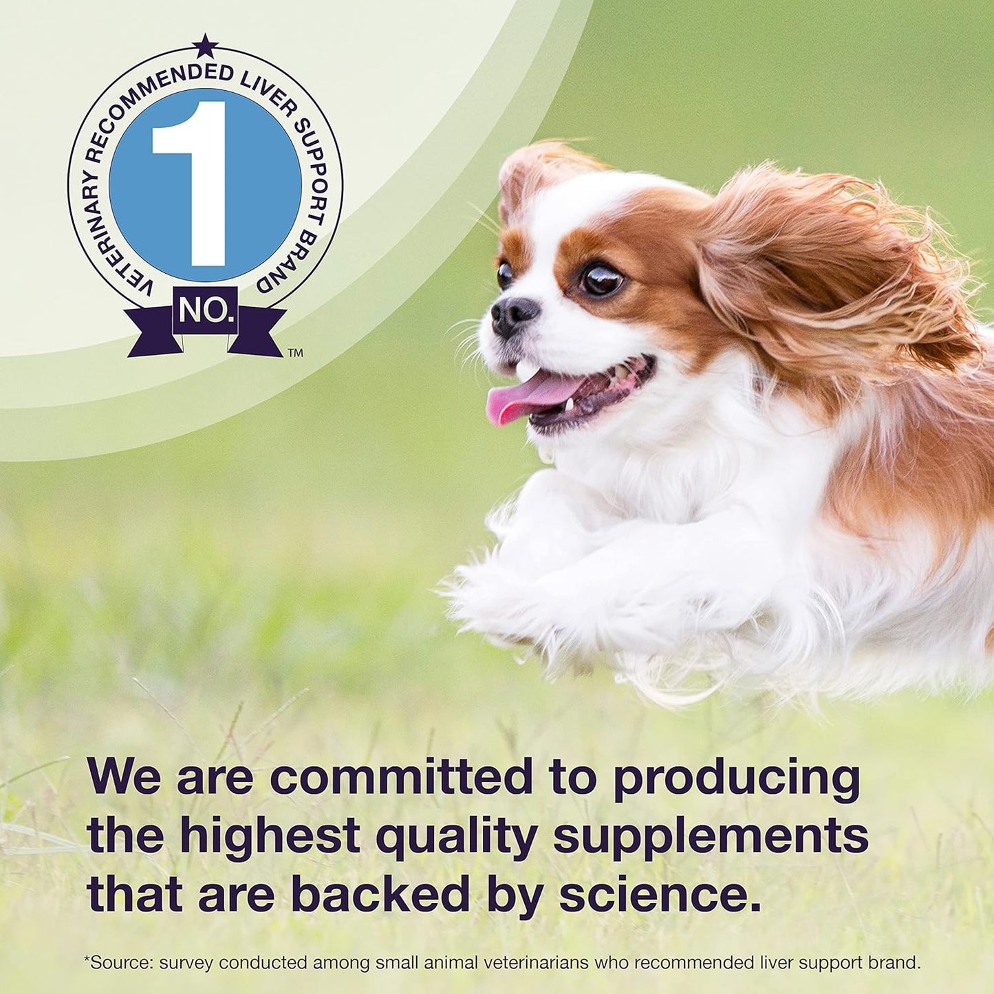 Denamarin Liver Health Supplement for Small Dogs and Cats - Supports Liver Function with SAMe and Silybin, 30 Tablets