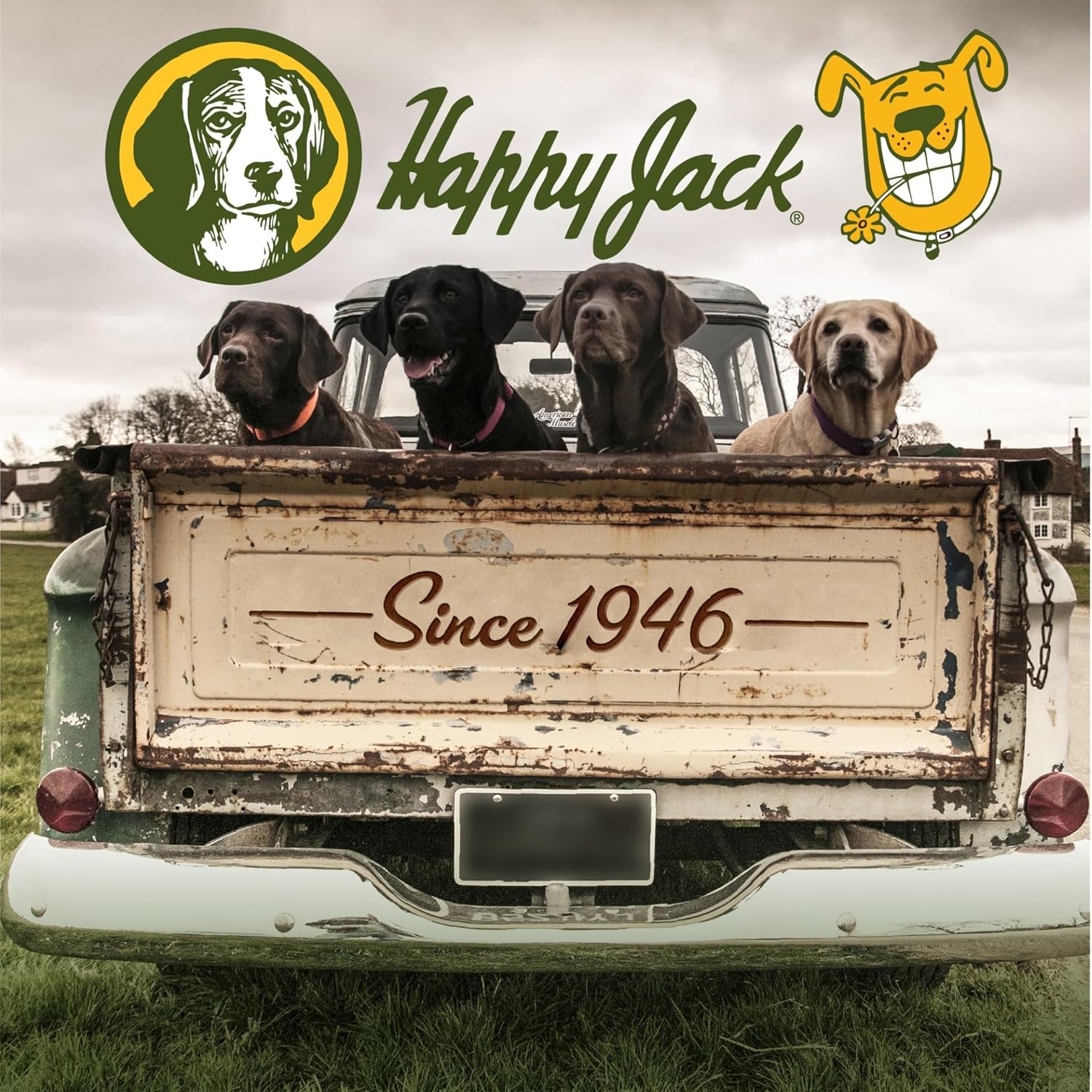 Dermaplex Skin and Coat Supplement for Dogs & Cats - Promotes Hair Growth and Healing from Skin Issues (14oz)