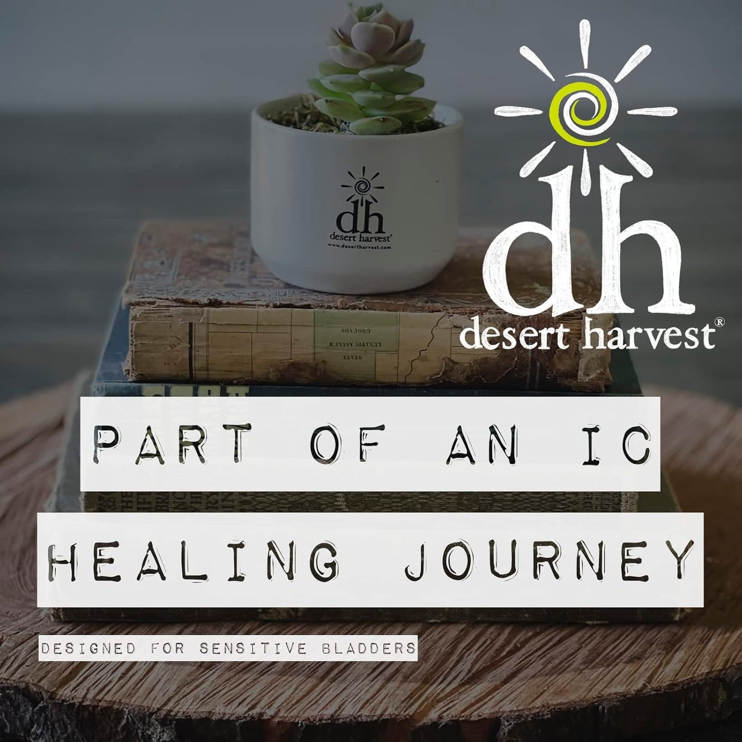 Desert Harvest B-Complex Vitamin Supplement - 90 Capsules, No B6 Added