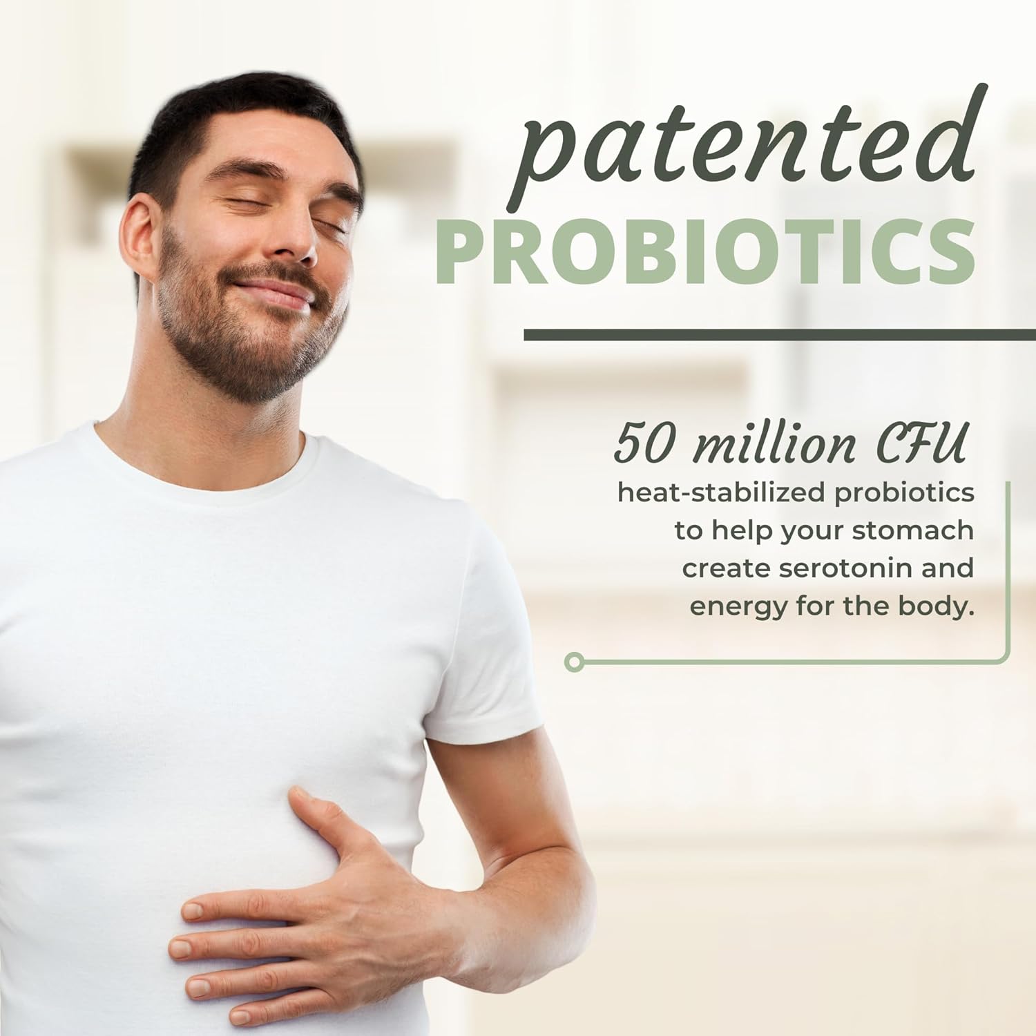 Digest-A-Meal Enzyme & Probiotic Supplement for Gut Health - Relief for Bloating, Acid Reflux, & Indigestion - Includes Aloe Vera Leaf - 90 Capsules