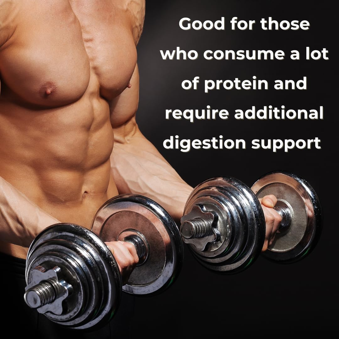 Digest Zone: Enzyme Supplement for Protein, Fat, and Carb Digestion - Supports Circulation and Repair Processes