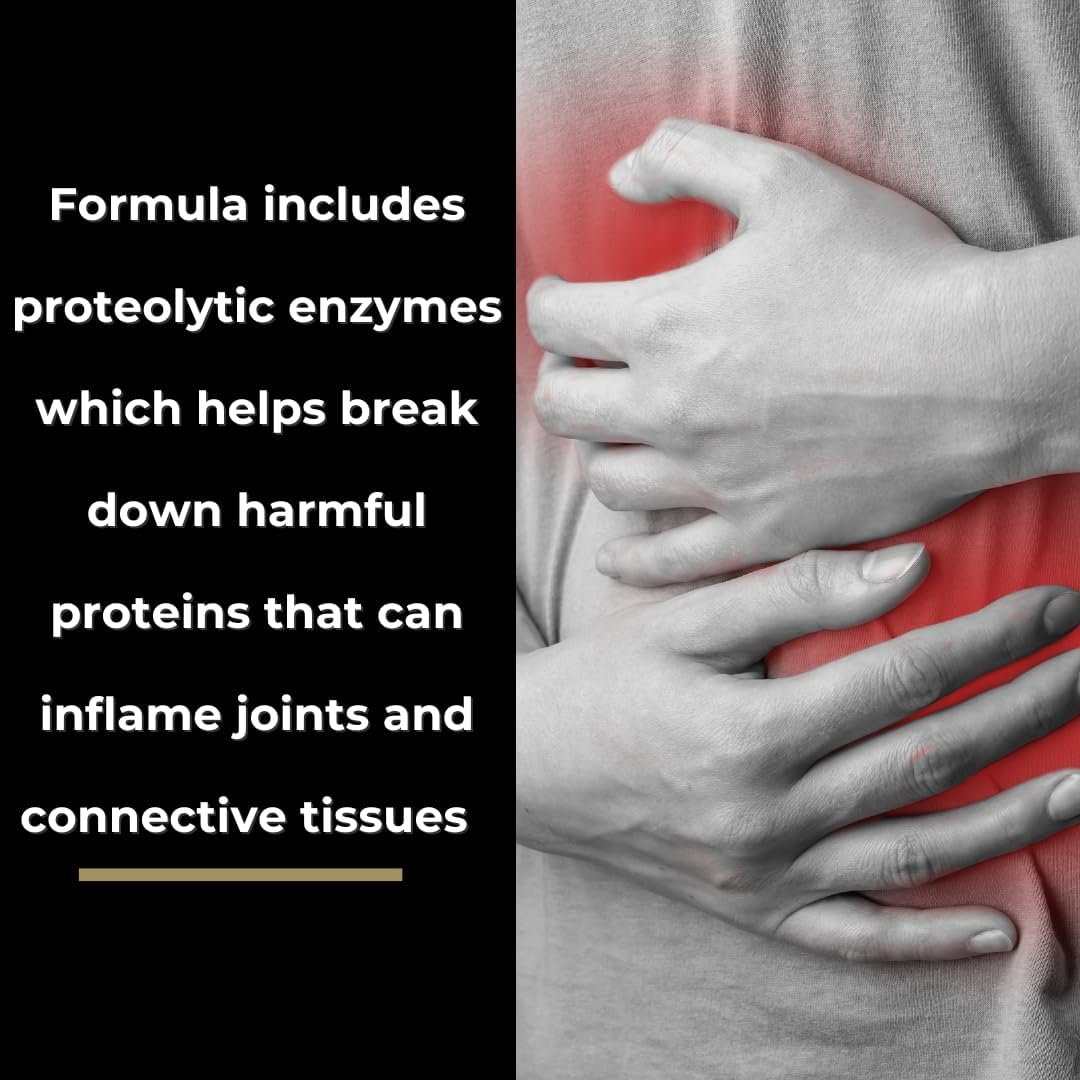 Digest Zone: Enzyme Supplement for Protein, Fat, and Carb Digestion - Supports Circulation and Repair Processes