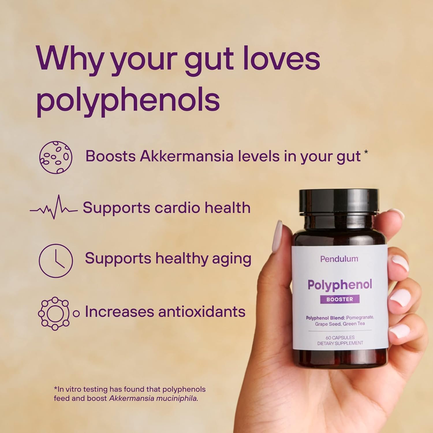 Digestive & Cardio Health Bundle: Pendulum Akkermansia & Polyphenol Booster - Live Probiotic Supplement