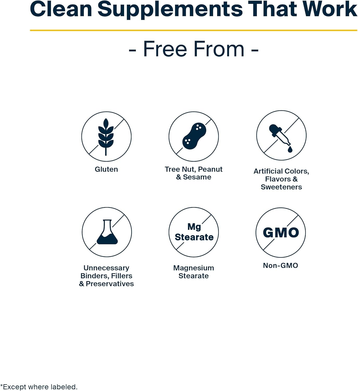 Digestive Enzyme Supplement with L Glutamine and Zinc for Gut Health - Gluten Free Powder for Leaky Gut - 40 Servings