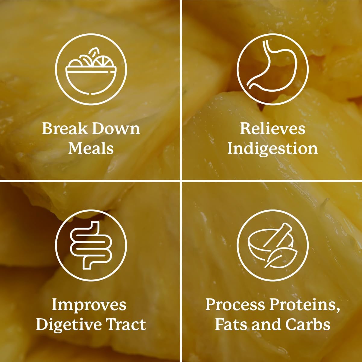 Digestive Enzyme Supplement with Prebiotics and Probiotics for Gut Health and Occasional Indigestion Relief