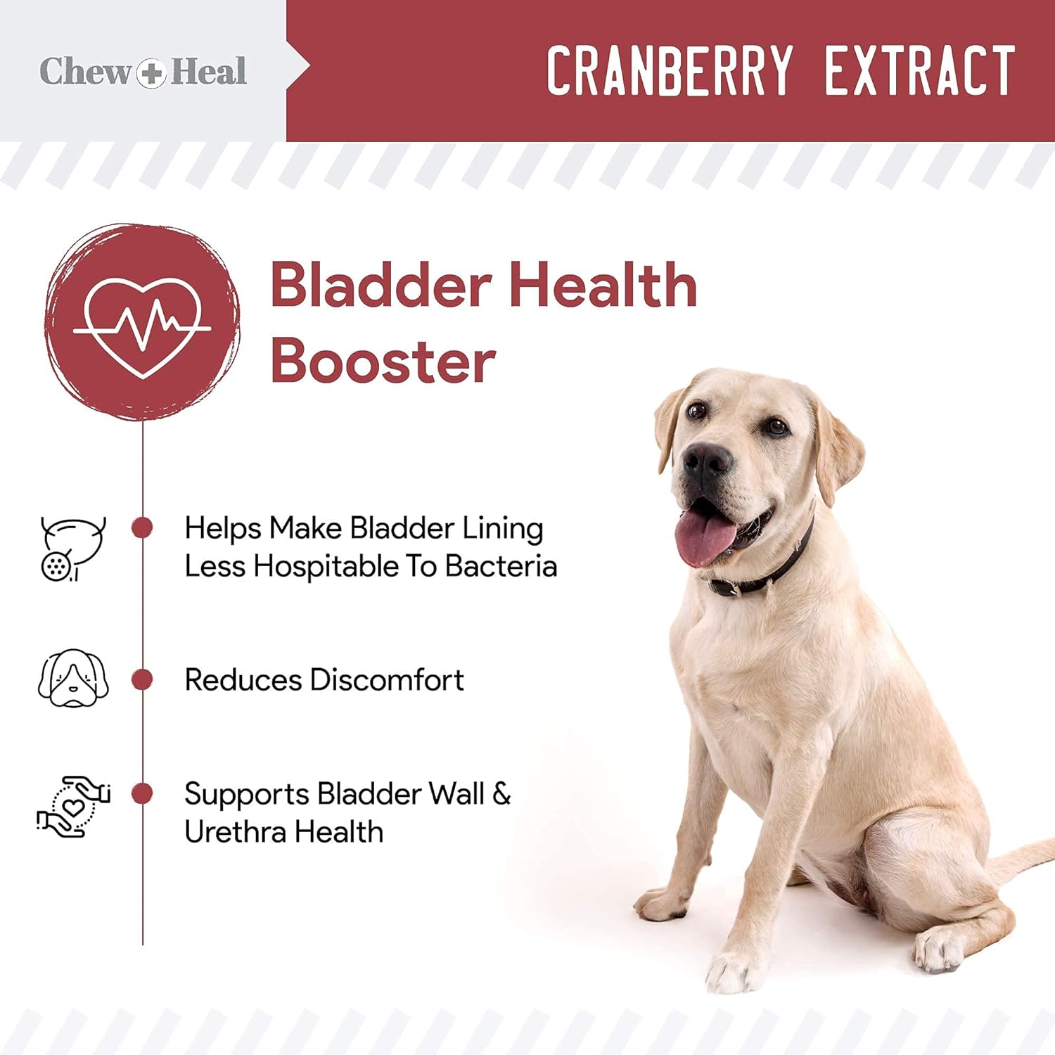 Digestive Enzymes, Probiotics, and Cranberry Soft Chews for Dogs - Supports Digestion and Urinary Health - 120 Chews