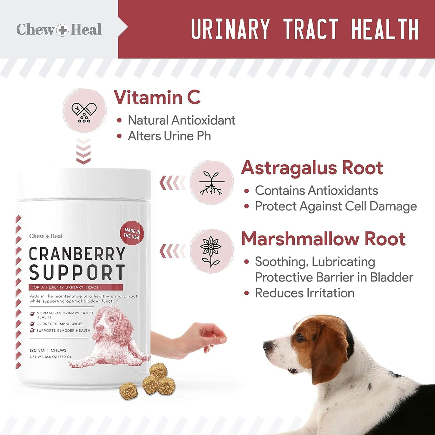 Digestive Enzymes, Probiotics, and Cranberry Soft Chews for Dogs - Supports Digestion and Urinary Health - 120 Chews