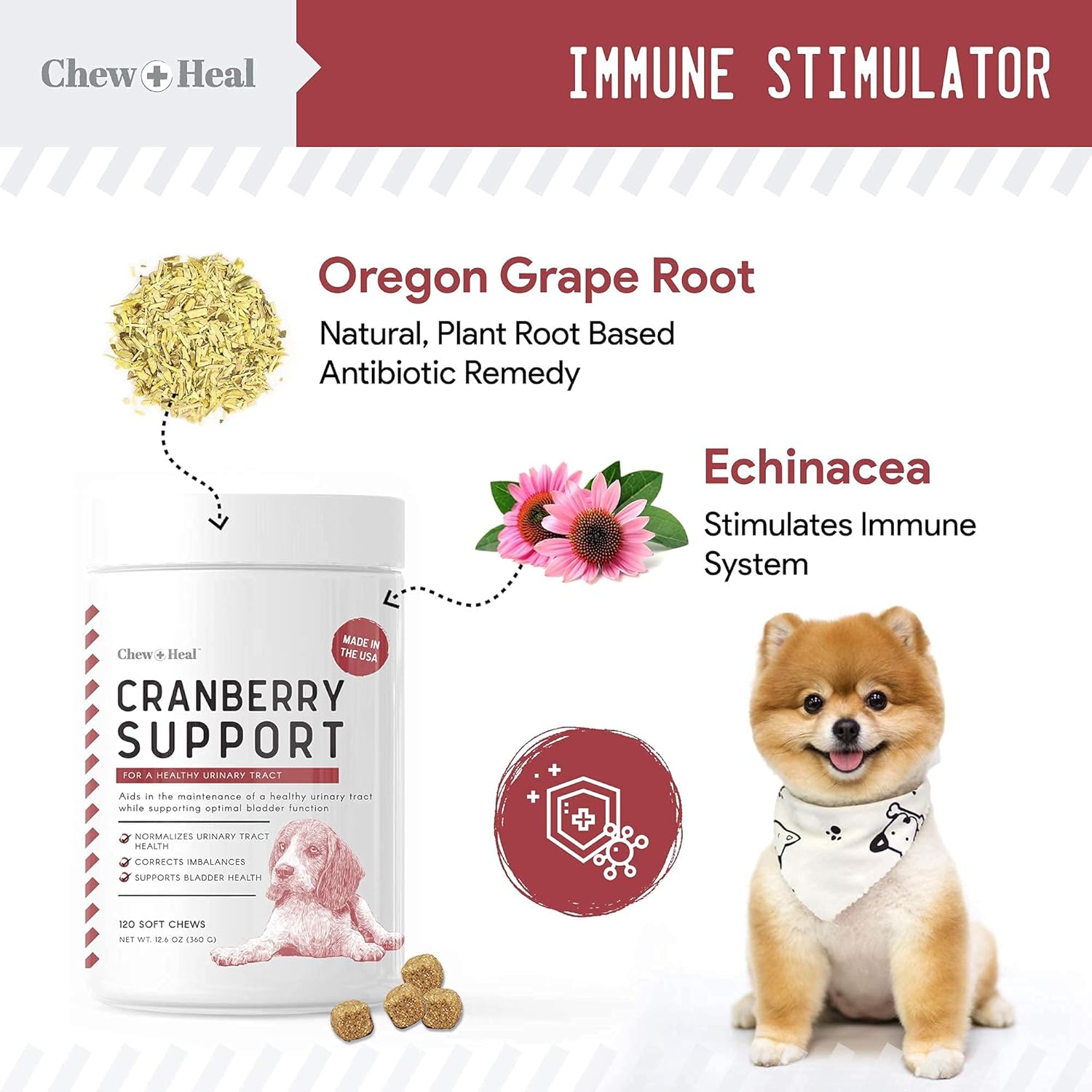 Digestive Enzymes, Probiotics, and Cranberry Soft Chews for Dogs - Supports Digestion and Urinary Health - 120 Chews
