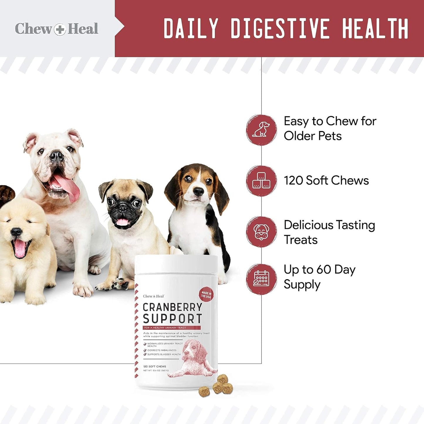 Digestive Enzymes, Probiotics, and Cranberry Soft Chews for Dogs - Supports Digestion and Urinary Health - 120 Chews