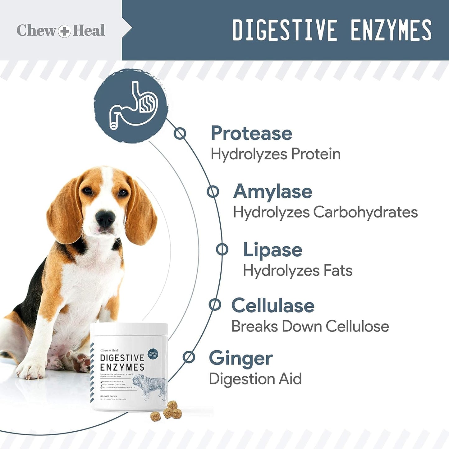 Digestive Enzymes, Probiotics, and Cranberry Soft Chews for Dogs - Supports Digestion and Urinary Health - 120 Chews