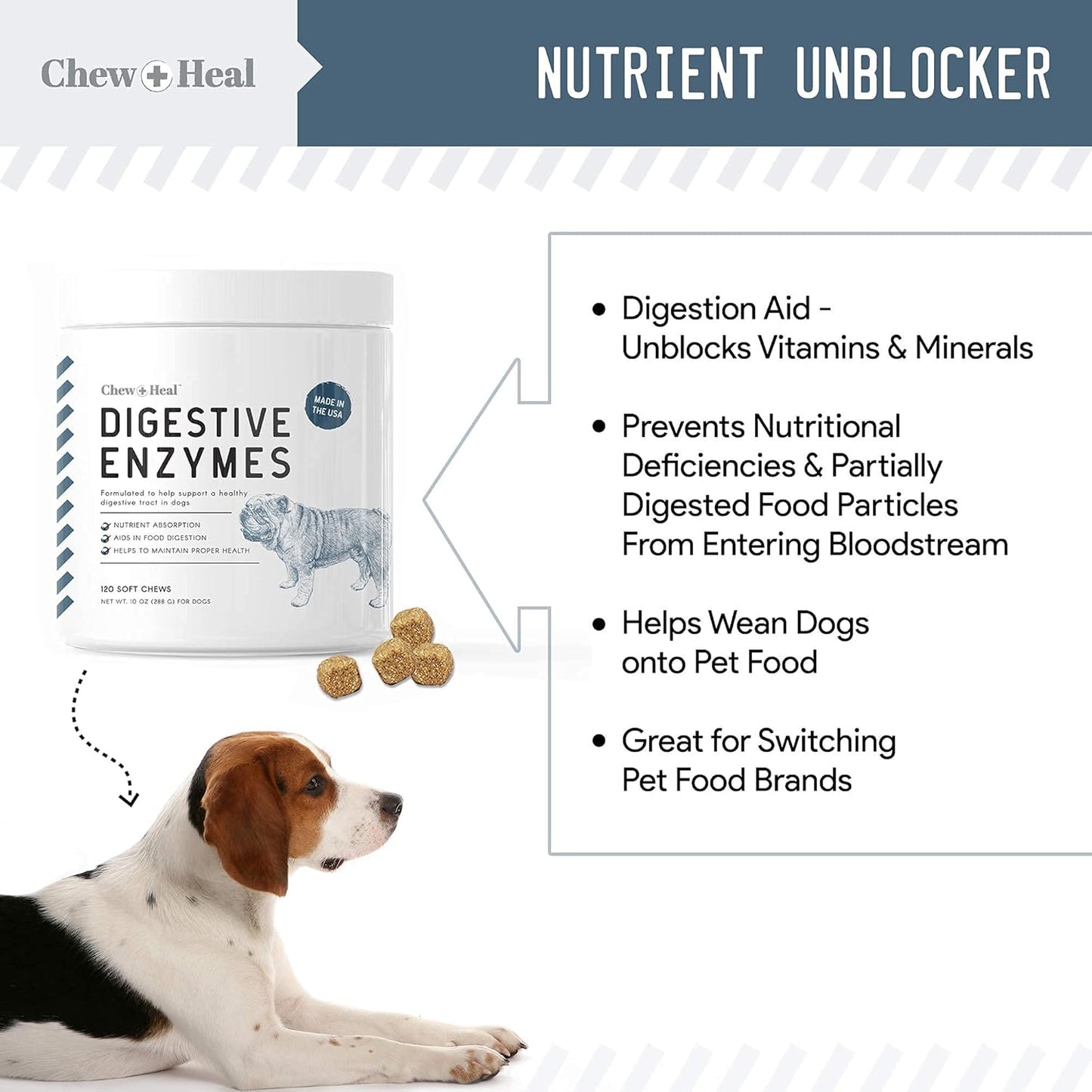 Digestive Enzymes, Probiotics, and Cranberry Soft Chews for Dogs - Supports Digestion and Urinary Health - 120 Chews