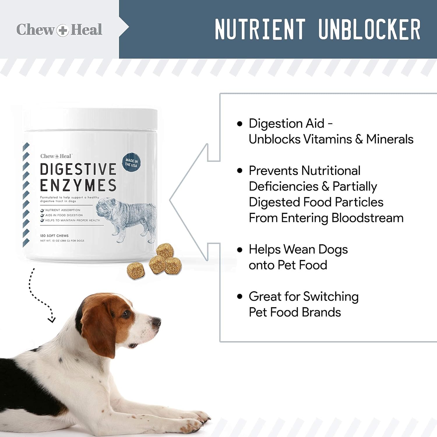 Digestive Enzymes, Probiotics, and Cranberry Soft Chews for Dogs - Supports Digestion and Urinary Health - 120 Chews