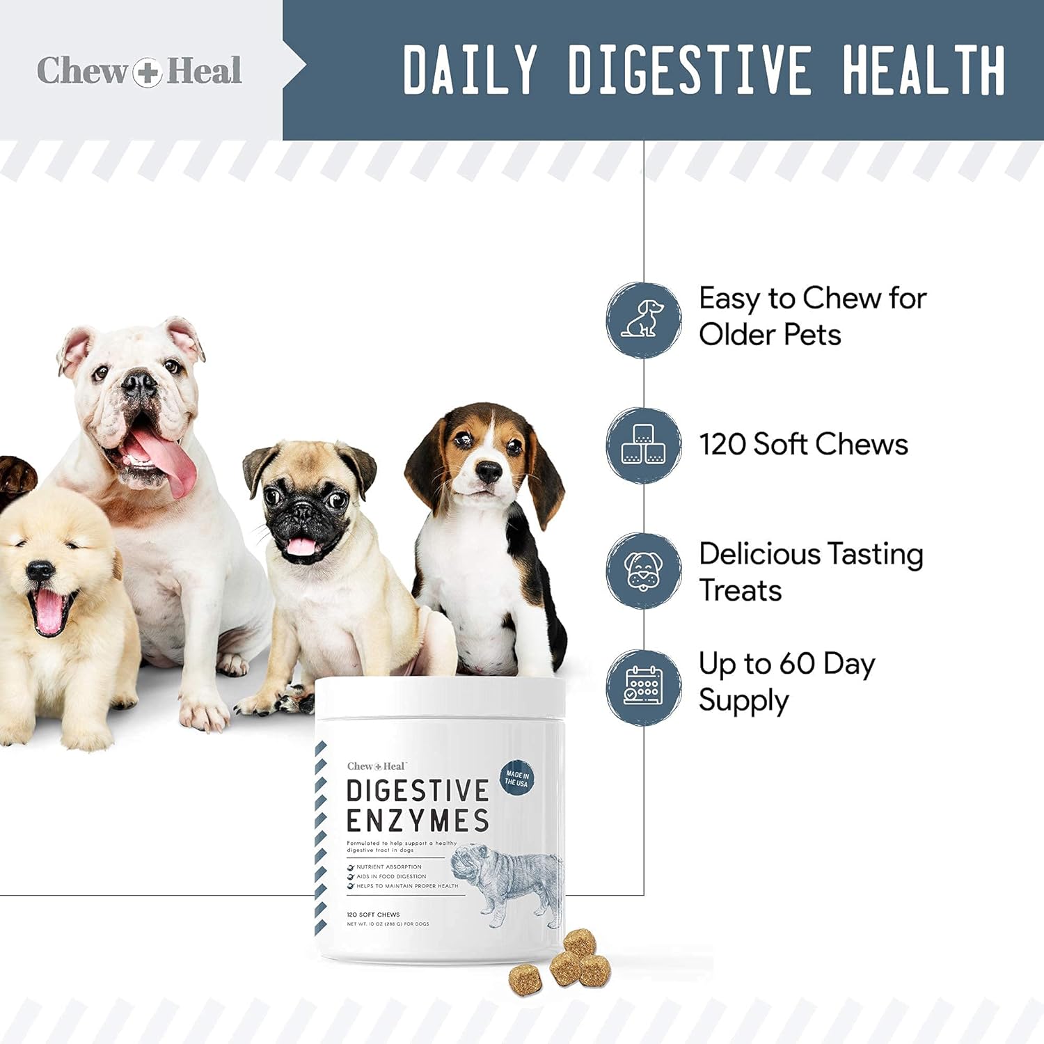 Digestive Enzymes, Probiotics, and Cranberry Soft Chews for Dogs - Supports Digestion and Urinary Health - 120 Chews
