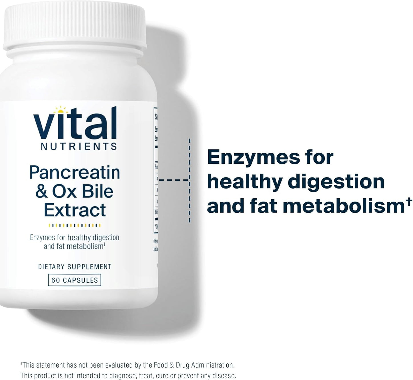 Digestive Enzymes Supplement 500mg | Supports Protein, Fat, and Carb Digestion | Pancreatin & Ox Bile Extract | Gluten, Dairy, Soy Free | 60 Capsules
