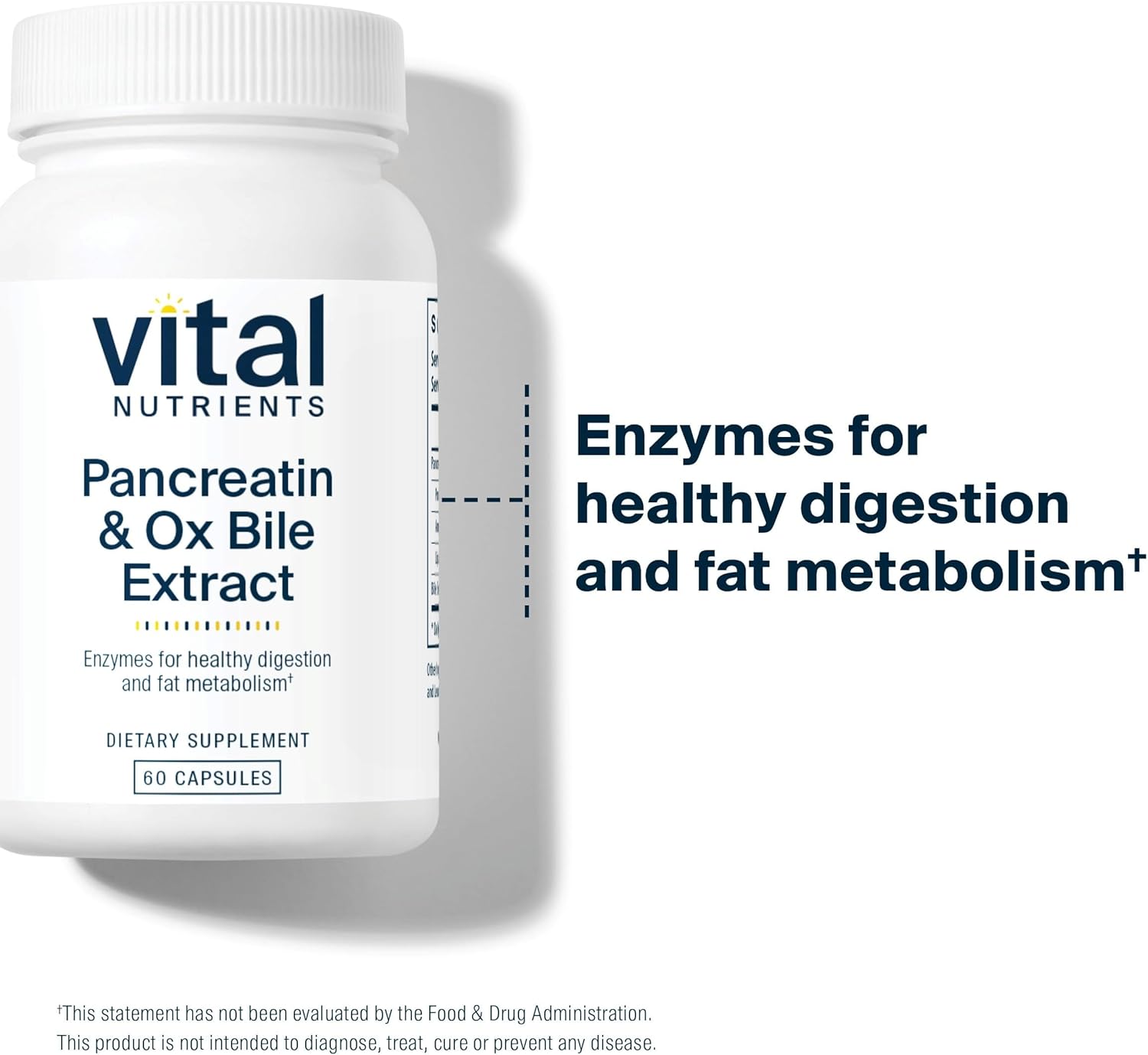 Digestive Enzymes Supplement 500mg | Supports Protein, Fat, and Carb Digestion | Pancreatin & Ox Bile Extract | Gluten, Dairy, Soy Free | 60 Capsules