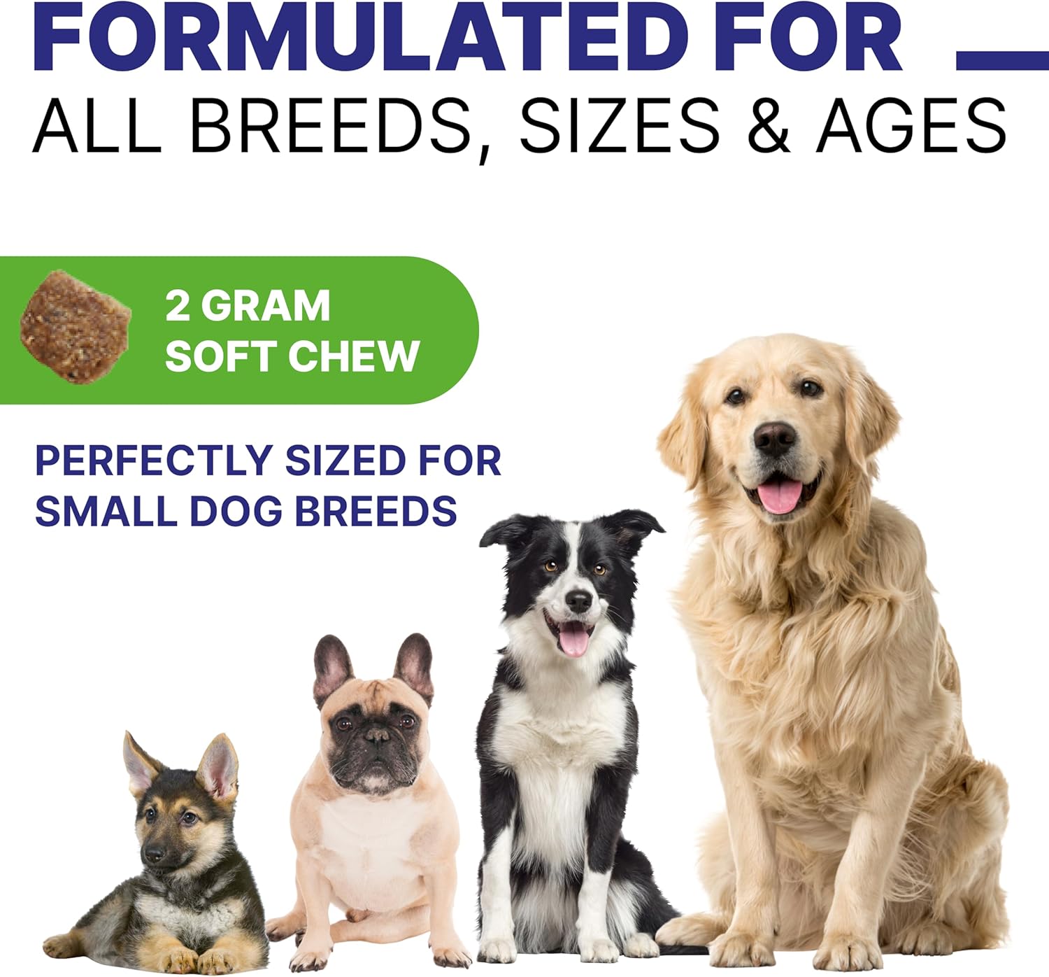 Digestive Health Chews for Dogs | Probiotics & Enzymes for Allergies, Itchy Skin, Diarrhea, Gas Relief | Prebiotics Fiber Supplement - 120 Treats