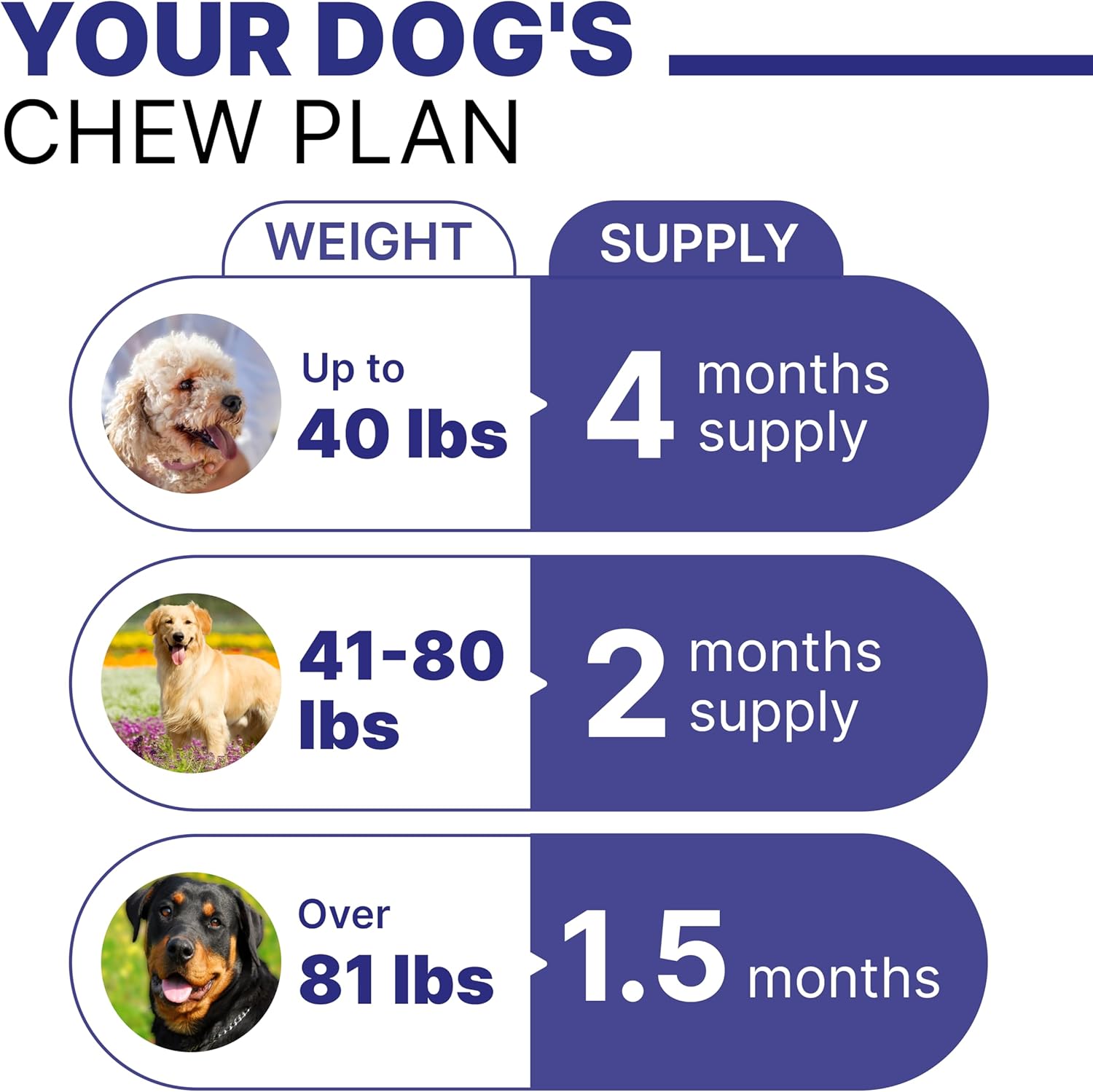 Digestive Health Chews for Dogs | Probiotics & Enzymes for Allergies, Itchy Skin, Diarrhea, Gas Relief | Prebiotics Fiber Supplement - 120 Treats