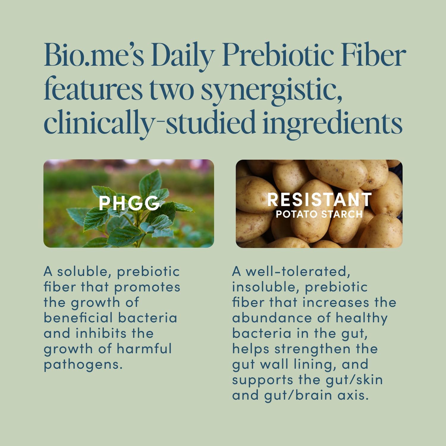 Digestive Health Fiber Supplement Powder with Prebiotics - Non-GMO & Gluten Free Soluble Fiber - 30 Servings