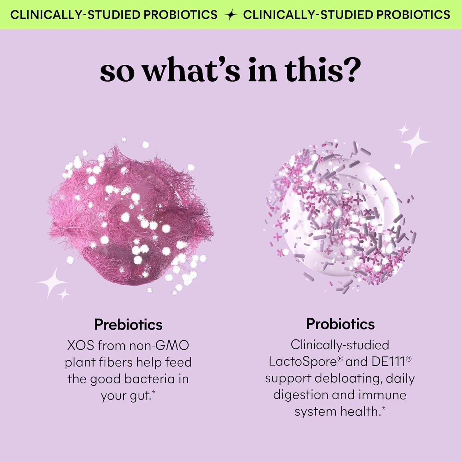 Digestive Health Gummies with 2 Probiotics, Prebiotic, 3 Billion CFUs - Vegan, Gluten Free, Non GMO, BlackBerry (120 Count)