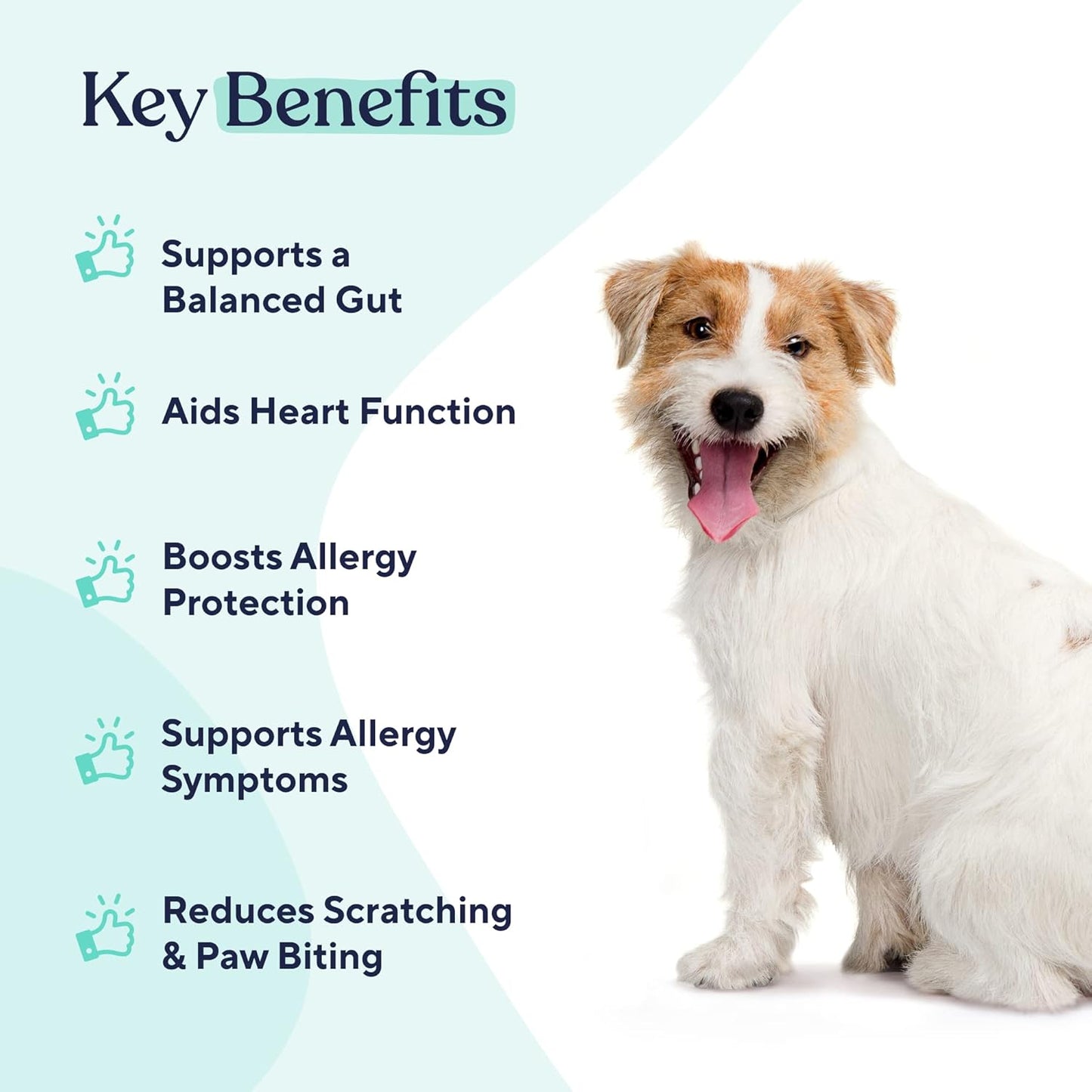 Digestive Health Probiotics for Dogs - 30 Chews for Small and Large Breeds - Supports Gut Health, Skin, and Allergies