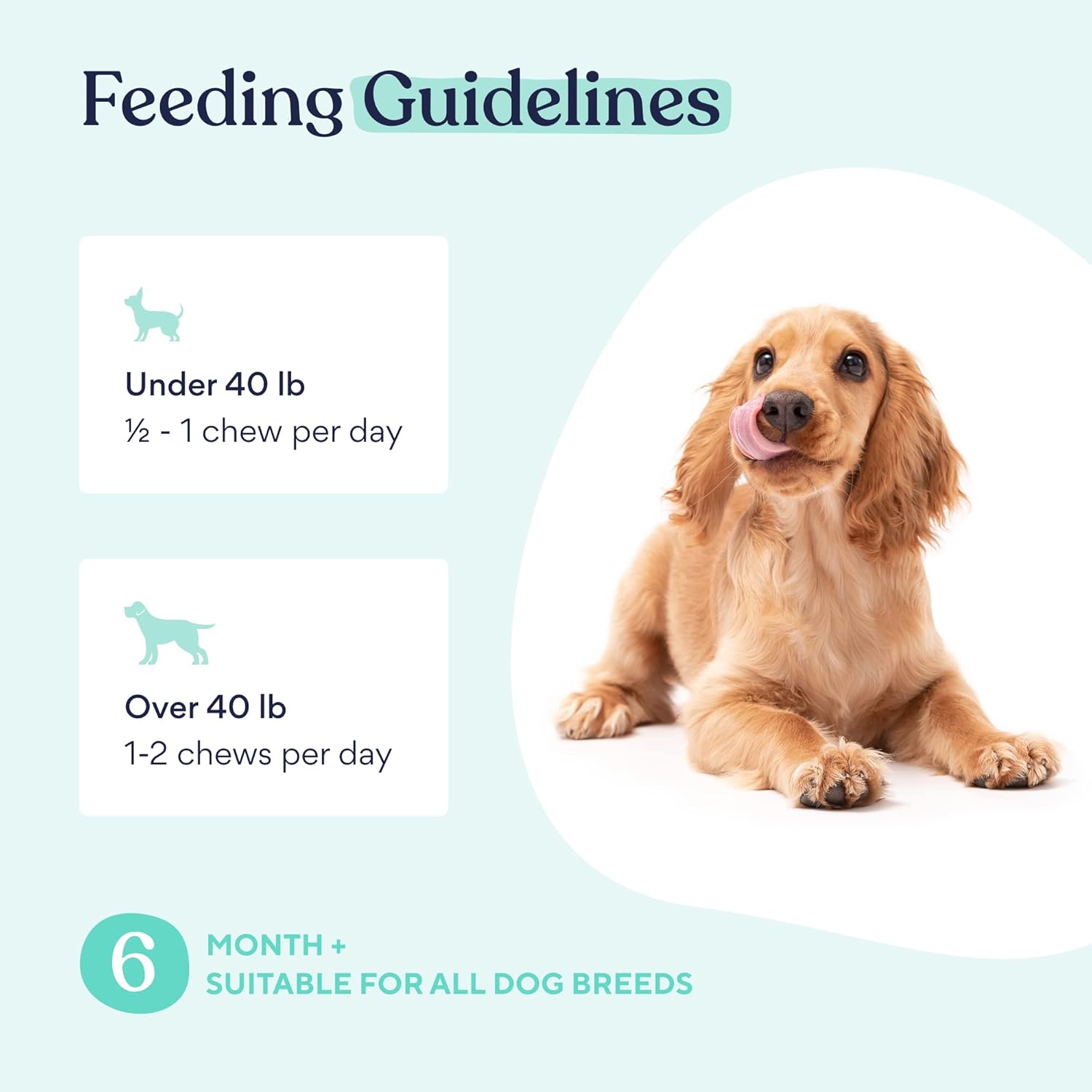 Digestive Health Probiotics for Dogs - 30 Chews for Small and Large Breeds - Supports Gut Health, Skin, and Allergies