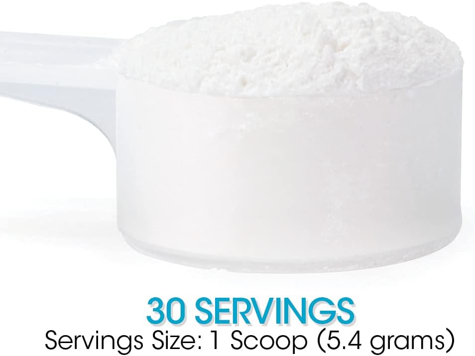 Digestive Health Supplement Powder with L-Glutamine, Curcumin, Zinc & Vitamin C for Gut Repair (2 Tubs - 60 Servings)