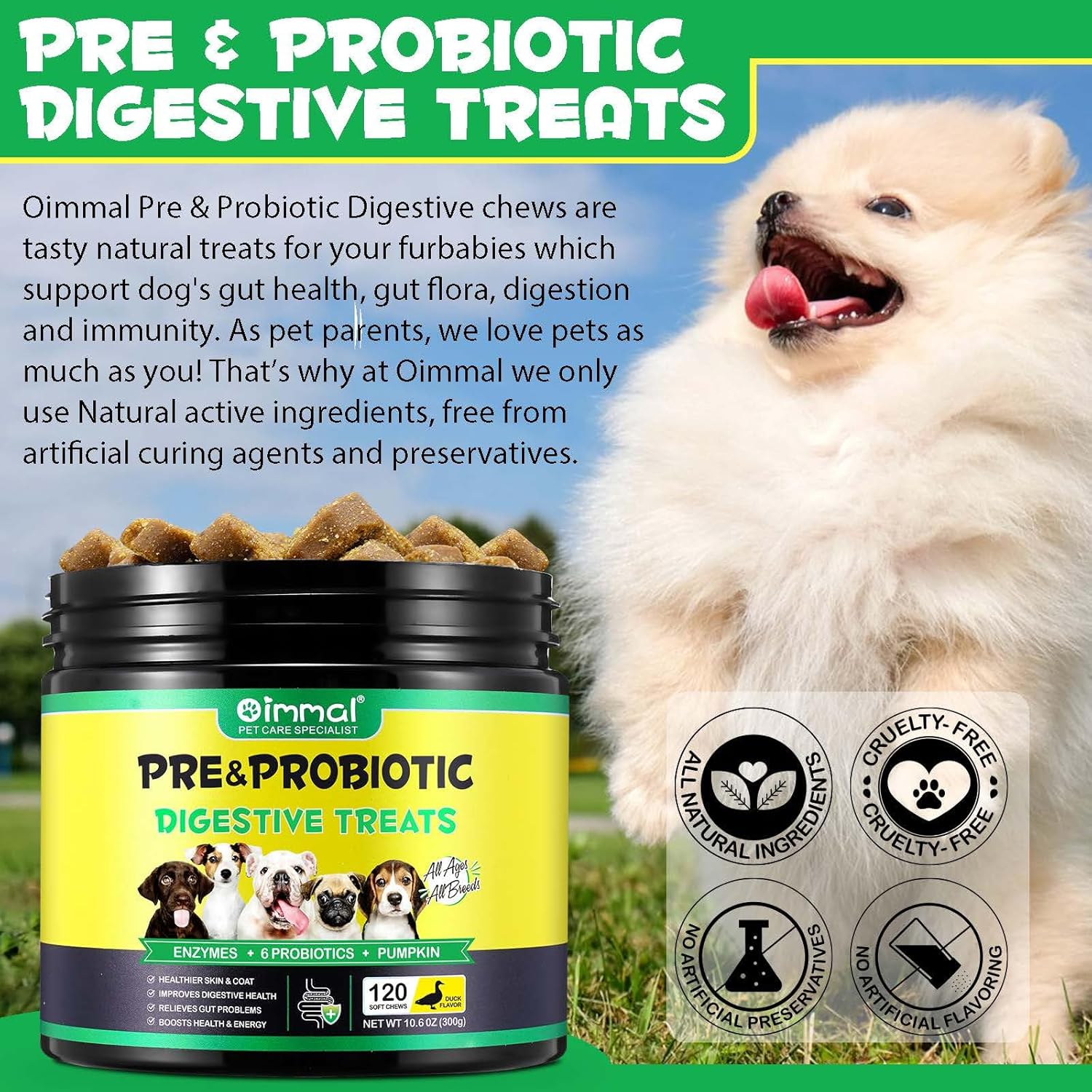 Digestive Probiotic Soft Chews with Omega-3 & 6 for Dogs - Vitamin Enriched Dog Probiotics & Enzymes