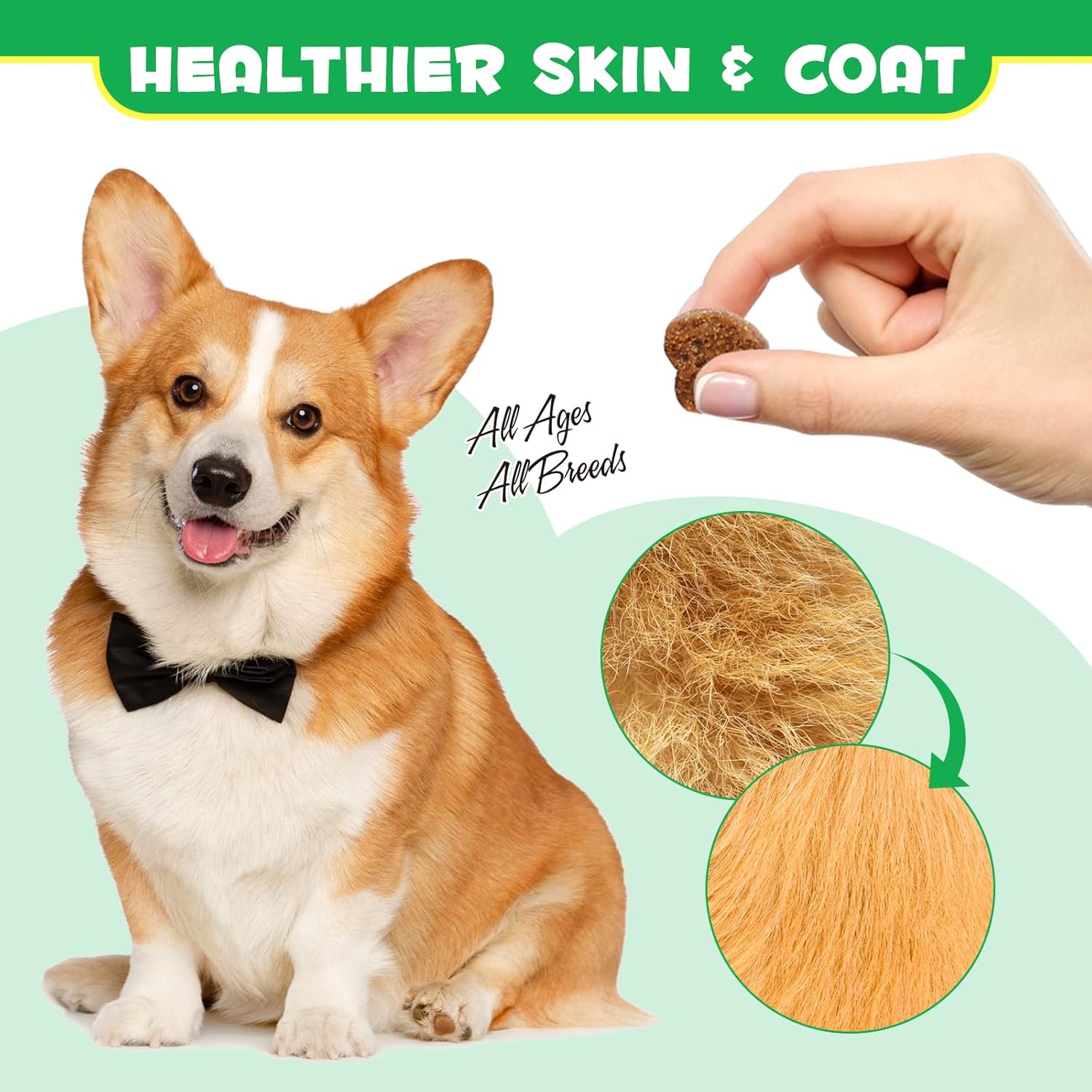 Digestive Probiotic Soft Chews with Omega-3 & 6 for Dogs - Vitamin Enriched Dog Probiotics & Enzymes