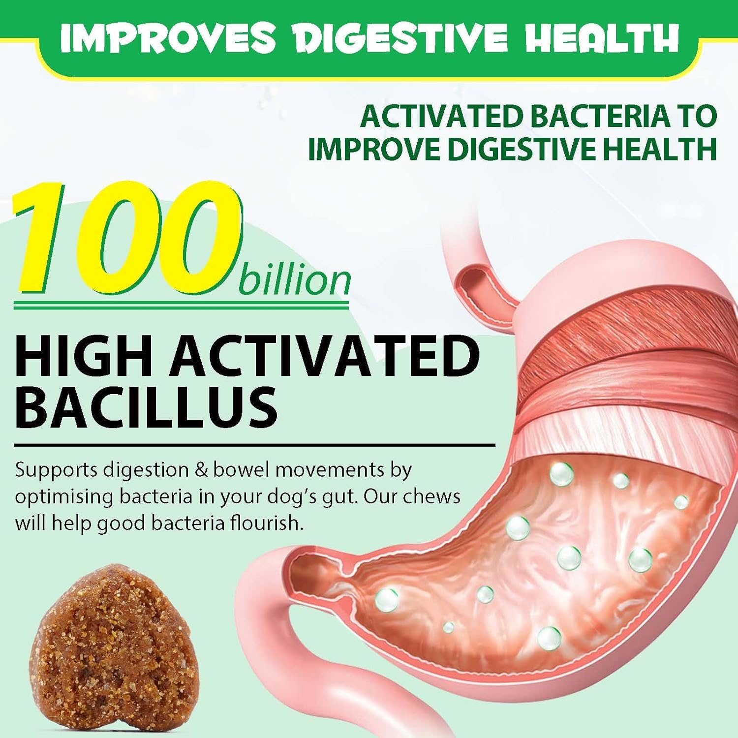 Digestive Probiotic Soft Chews with Omega-3 & 6 for Dogs - Vitamin Enriched Dog Probiotics & Enzymes