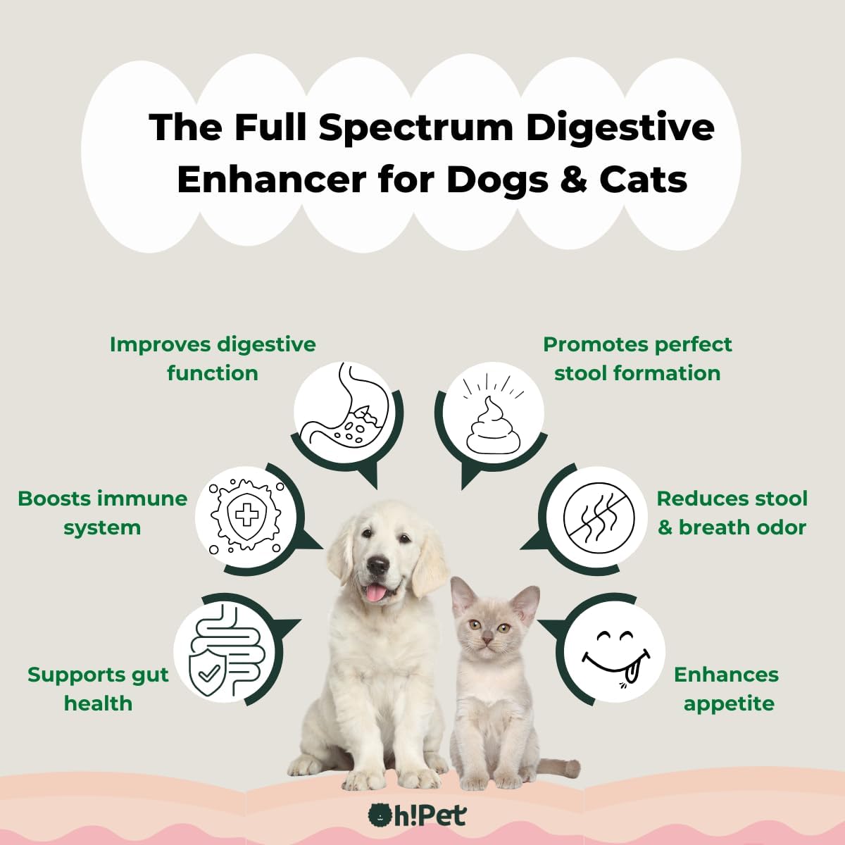 Digestive Probiotics Powder for Dogs & Cats - 5-in-1 Formula with 7 Billion CFUs, Prebiotics, Enzymes & Fiber - 30 Packets (Chicken Flavor)