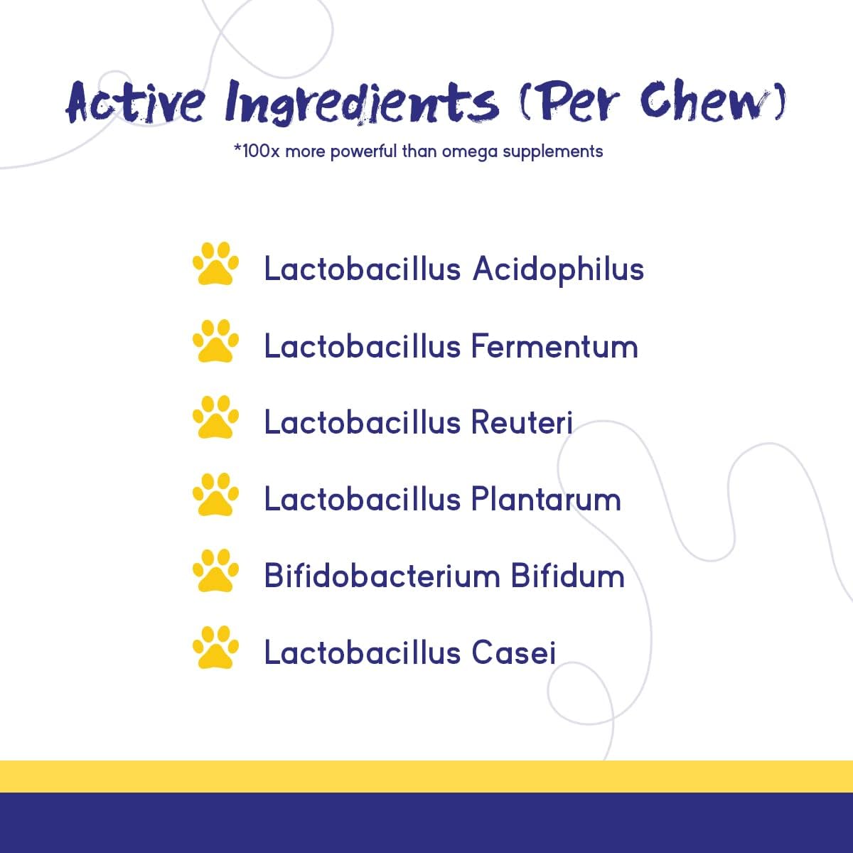 Digestive Support Chews for Dogs - Probiotic and Prebiotic Supplement with Enzymes - Pumpkin, Blueberry, Mineral Oil - 60 Soft Chews for Upset Stomach, Diarrhea, Bowel, and Immune Support