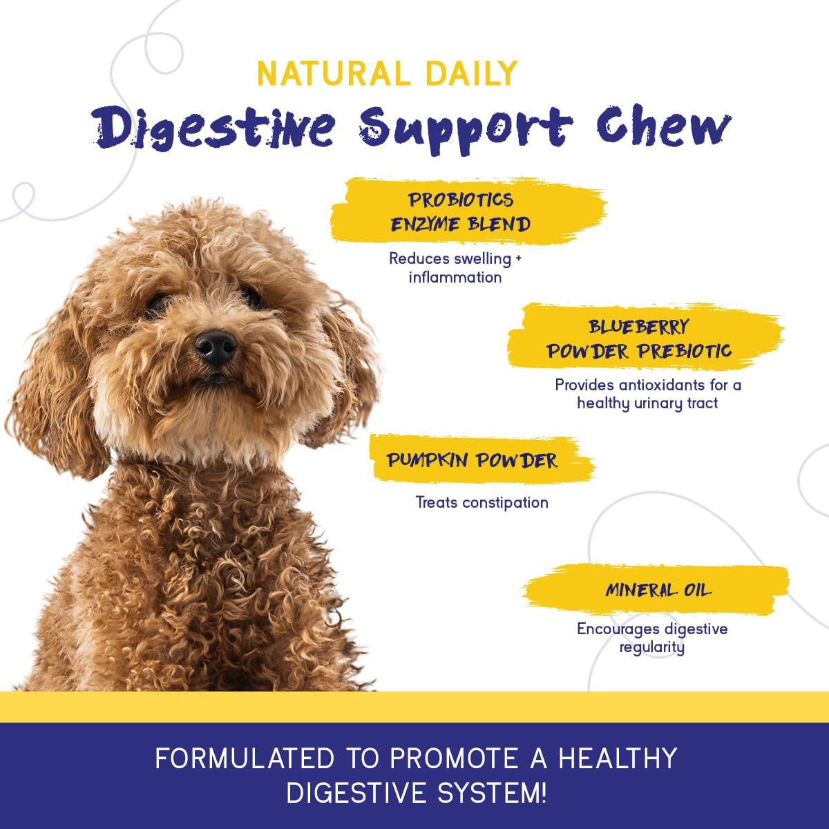 Digestive Support Chews for Dogs - Probiotic and Prebiotic Supplement with Enzymes - Pumpkin, Blueberry, Mineral Oil - 60 Soft Chews for Upset Stomach, Diarrhea, Bowel, and Immune Support