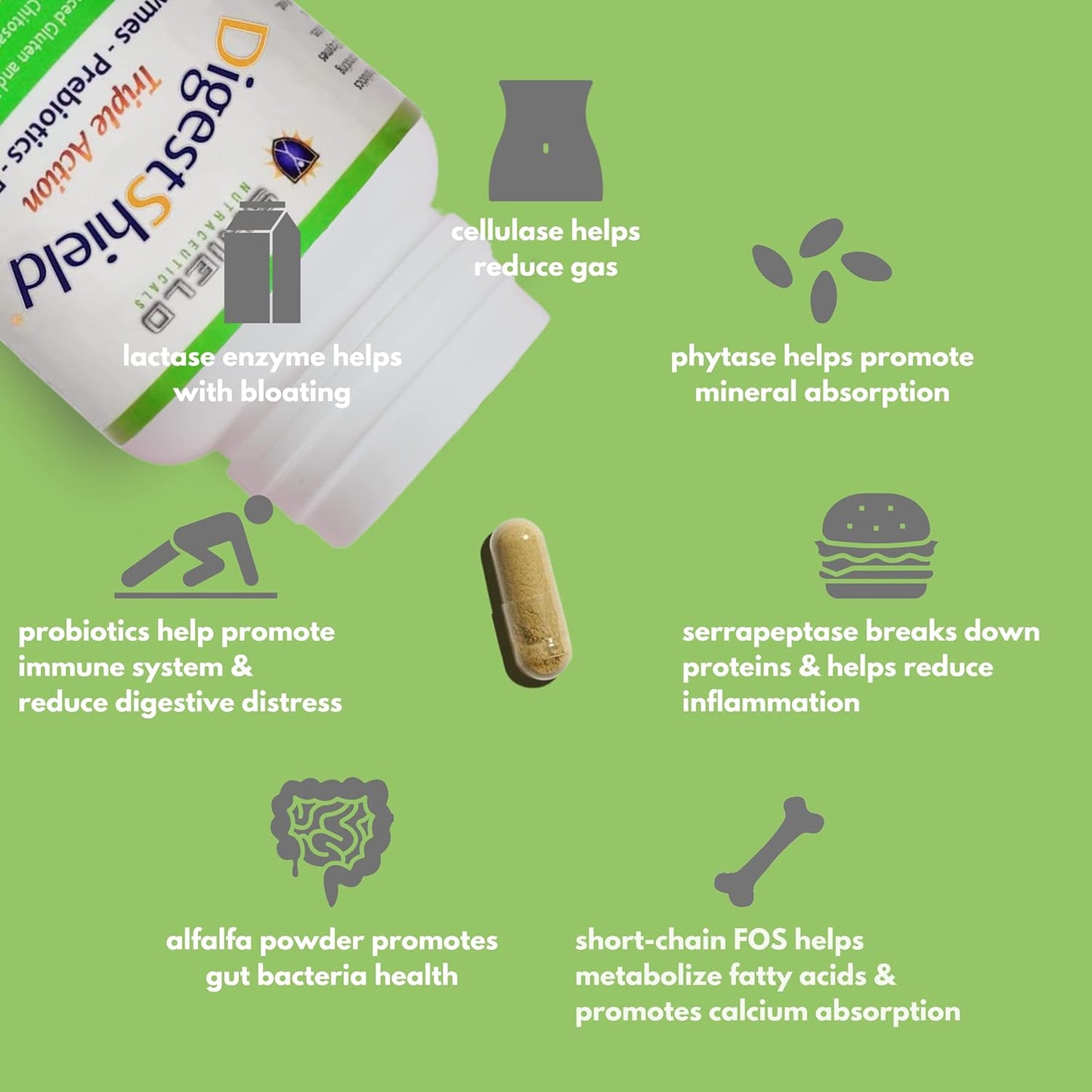 DigestShield® Probiotic, Prebiotic, & Enzyme Supplement - Reduce Bloating, Safely Digest Dairy & Gluten, Chitosan for Fat Absorption - 90 Meals