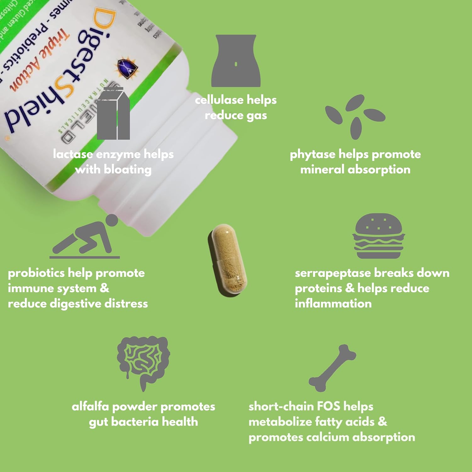DigestShield® Probiotic, Prebiotic, & Enzyme Supplement - Reduce Bloating, Safely Digest Dairy & Gluten, Chitosan for Fat Absorption - 90 Meals