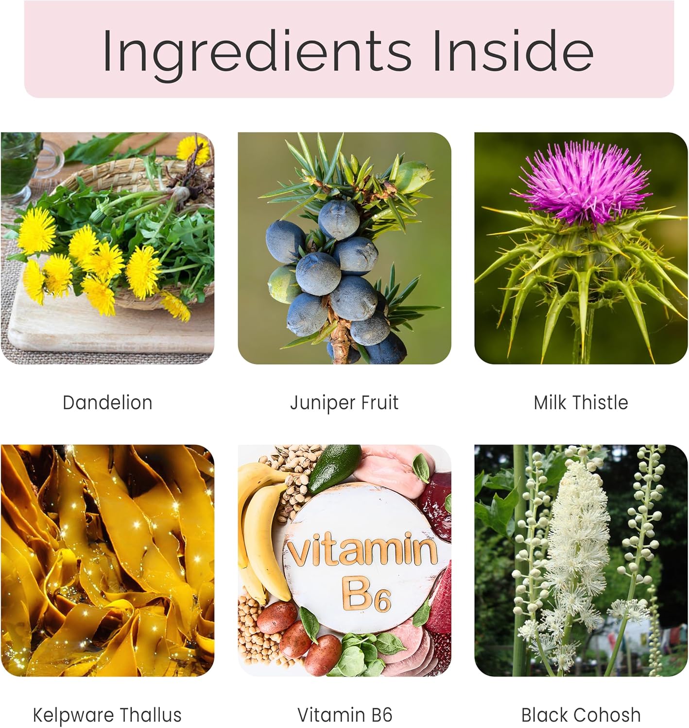 Diuretic Pills for Women - Reduce Water Retention, Bloating & PMS - 60 Vegan Capsules