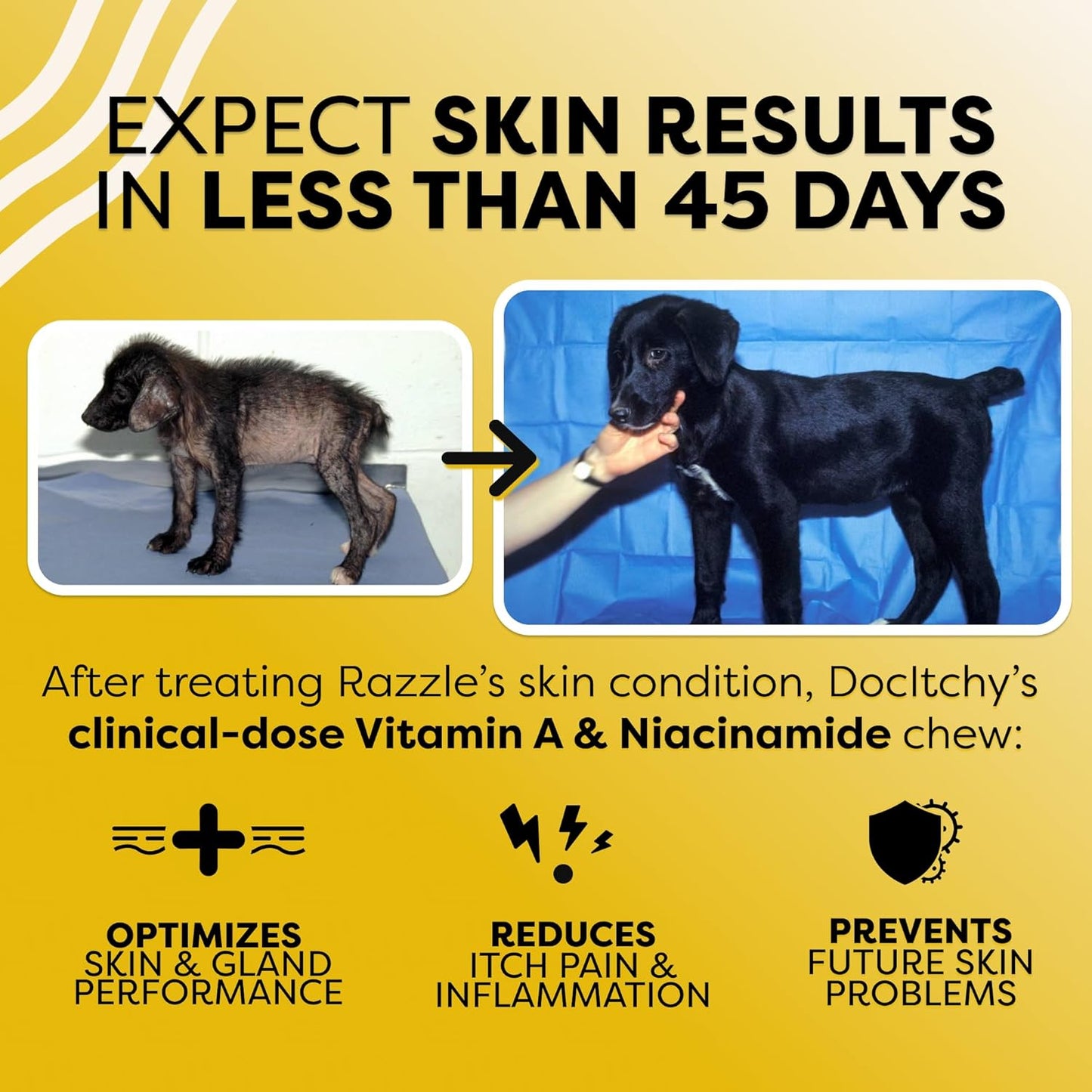 DocItchy Hair Skin Nails Dog Chews | Vitamin A, B3, Omega 3 | Boost Skin Health | Prevent Irritation | Allergy Safe | 90 Count