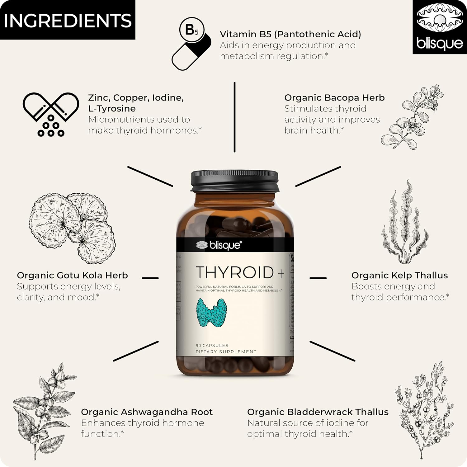 Doctor-Approved Thyroid Support Supplement for Energy, Focus, and Metabolism Boost | Includes Iodine, Ashwagandha, and L-Tyrosine | 90 Capsules