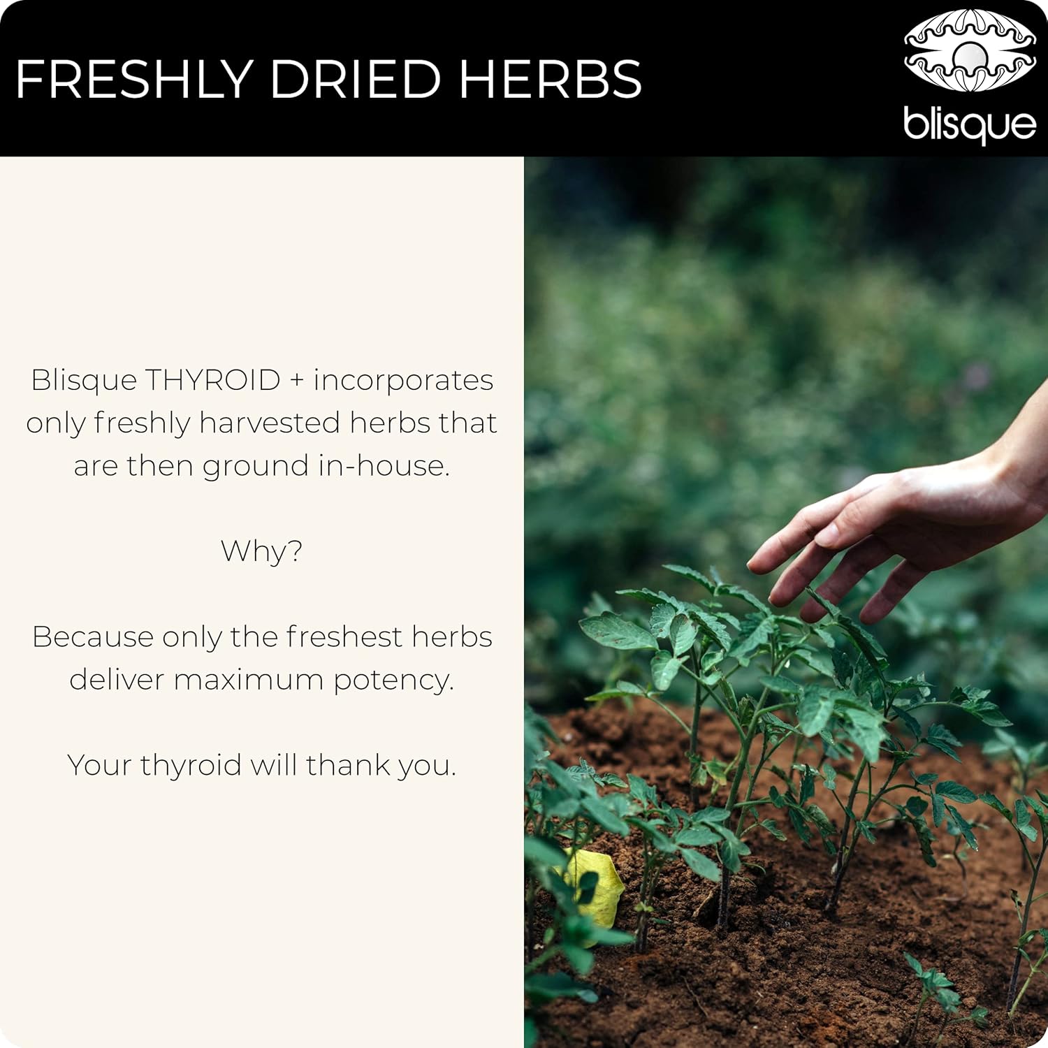 Doctor-Approved Thyroid Support Supplement for Energy, Focus, and Metabolism Boost | Includes Iodine, Ashwagandha, and L-Tyrosine | 90 Capsules