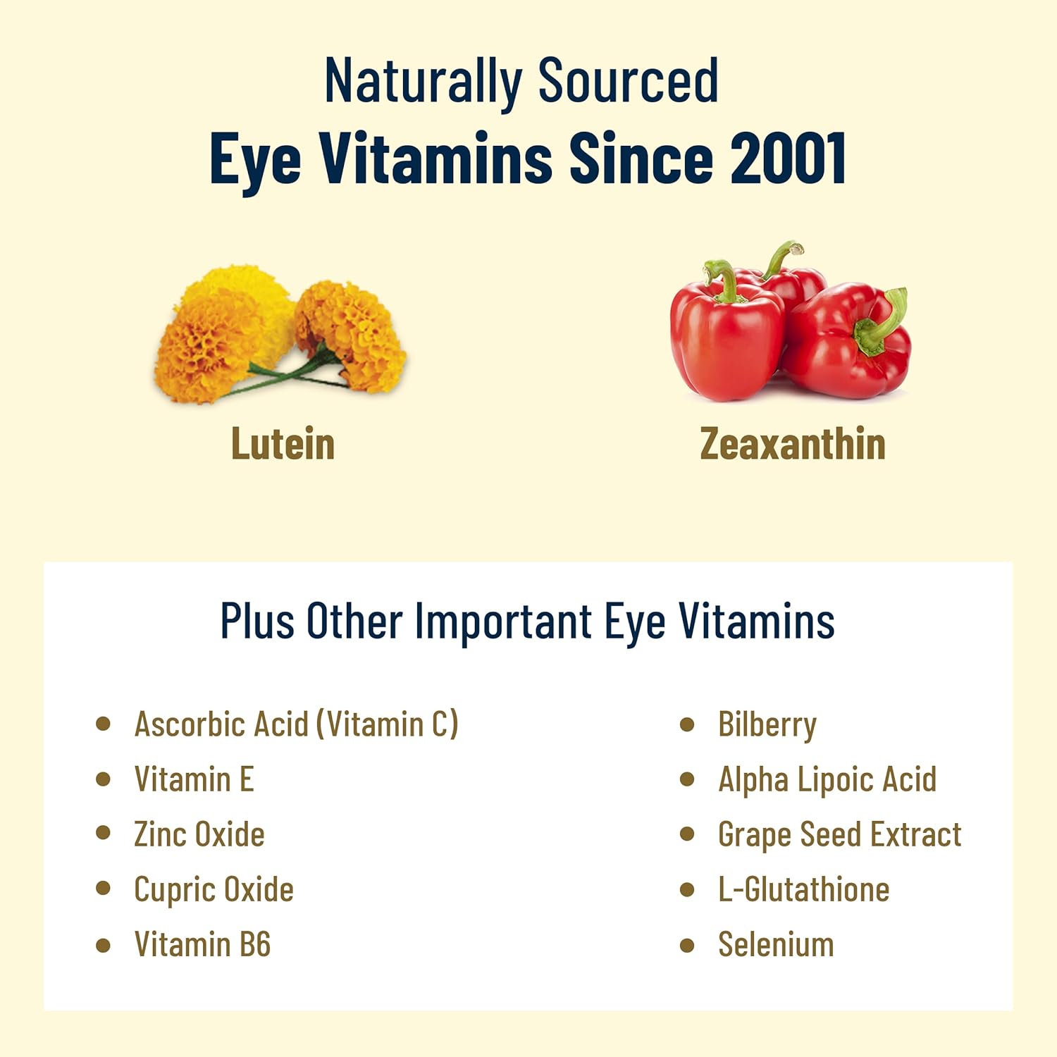 Doctor Formulated Eye Vitamins with AREDS 2, Zeaxanthin, Lutein, Bilberry, Grape Seed Extract - Macular Health Formula - 60 Capsules