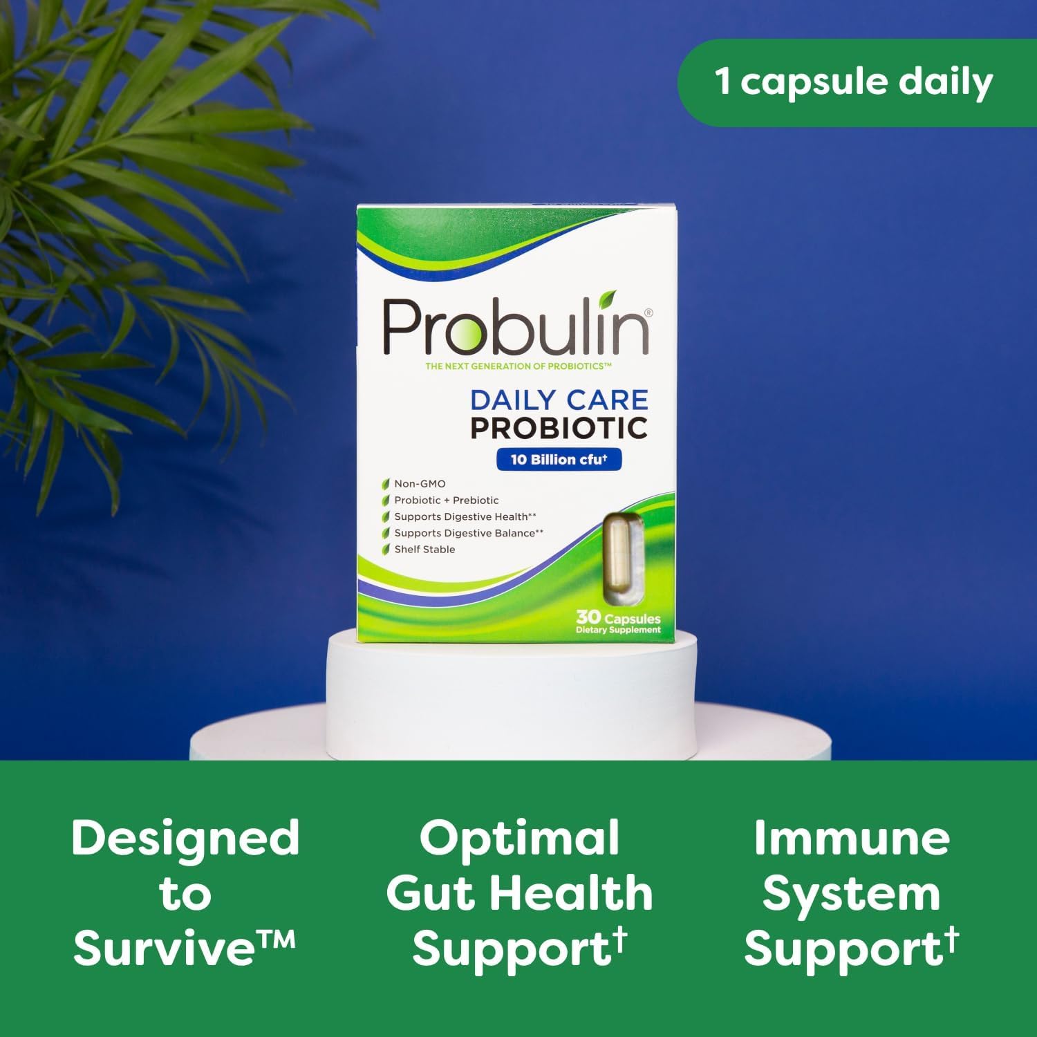 Doctor Formulated Probulin Daily Care Probiotic - 10 Billion CFU - 12 Probiotic Strains - 60 Vegan Capsules - Digestive & Immune Support (Twin Pack)