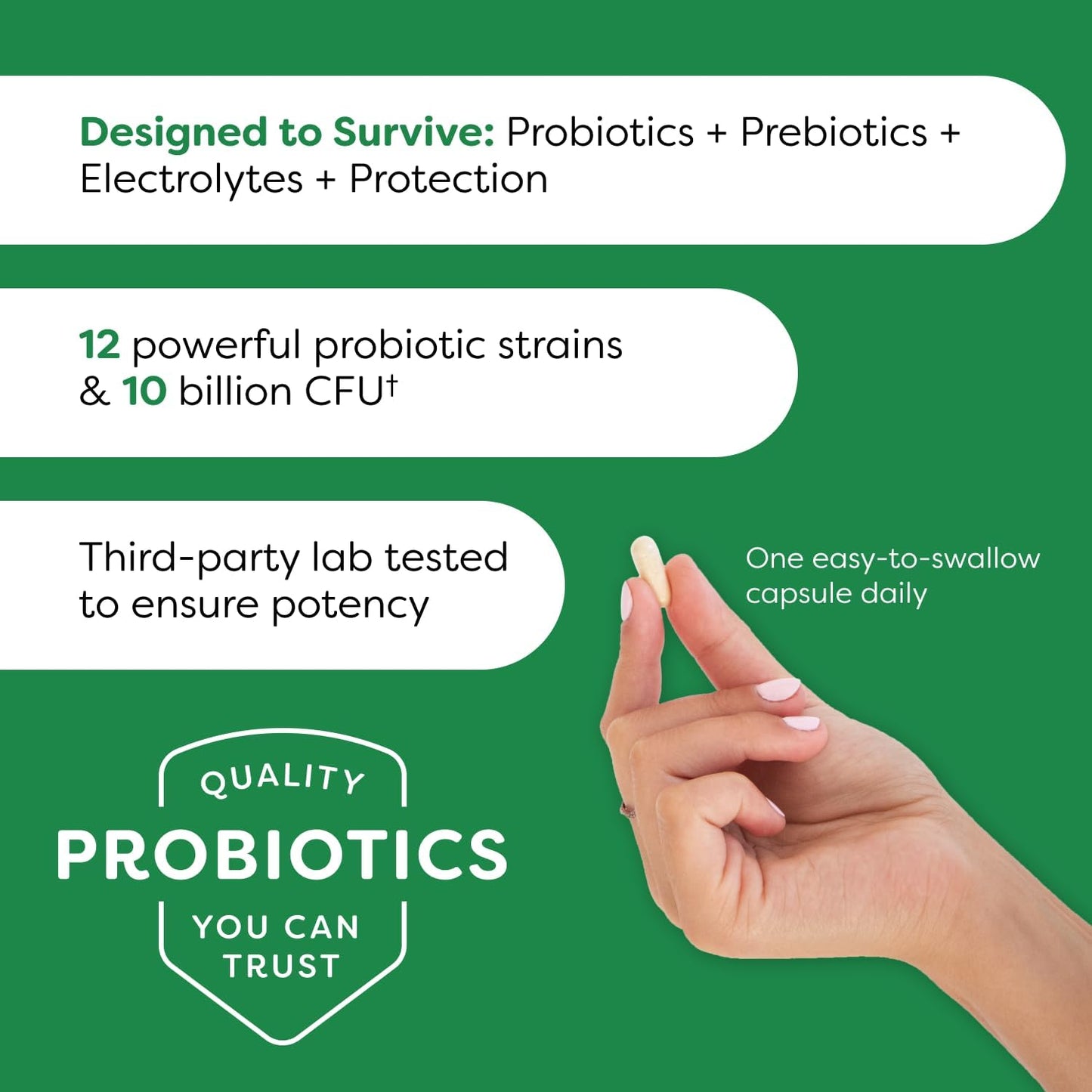 Doctor Formulated Probulin Daily Care Probiotic - 10 Billion CFU - 12 Probiotic Strains - 60 Vegan Capsules - Digestive & Immune Support (Twin Pack)