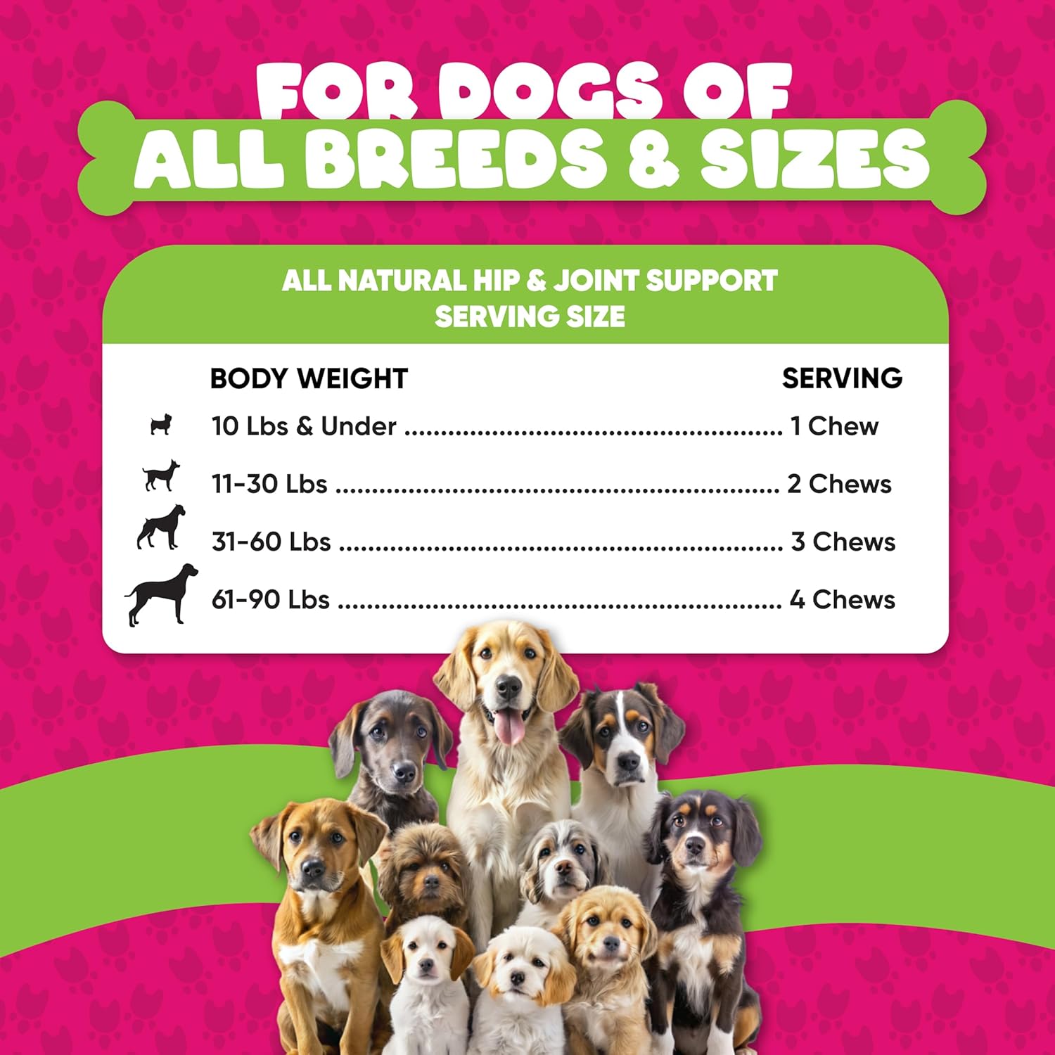 Dog Allergy Chews with Probiotics for Immune Support - Skin and Coat Supplement for Seasonal Allergies - 120 Soft Chews, Made in USA