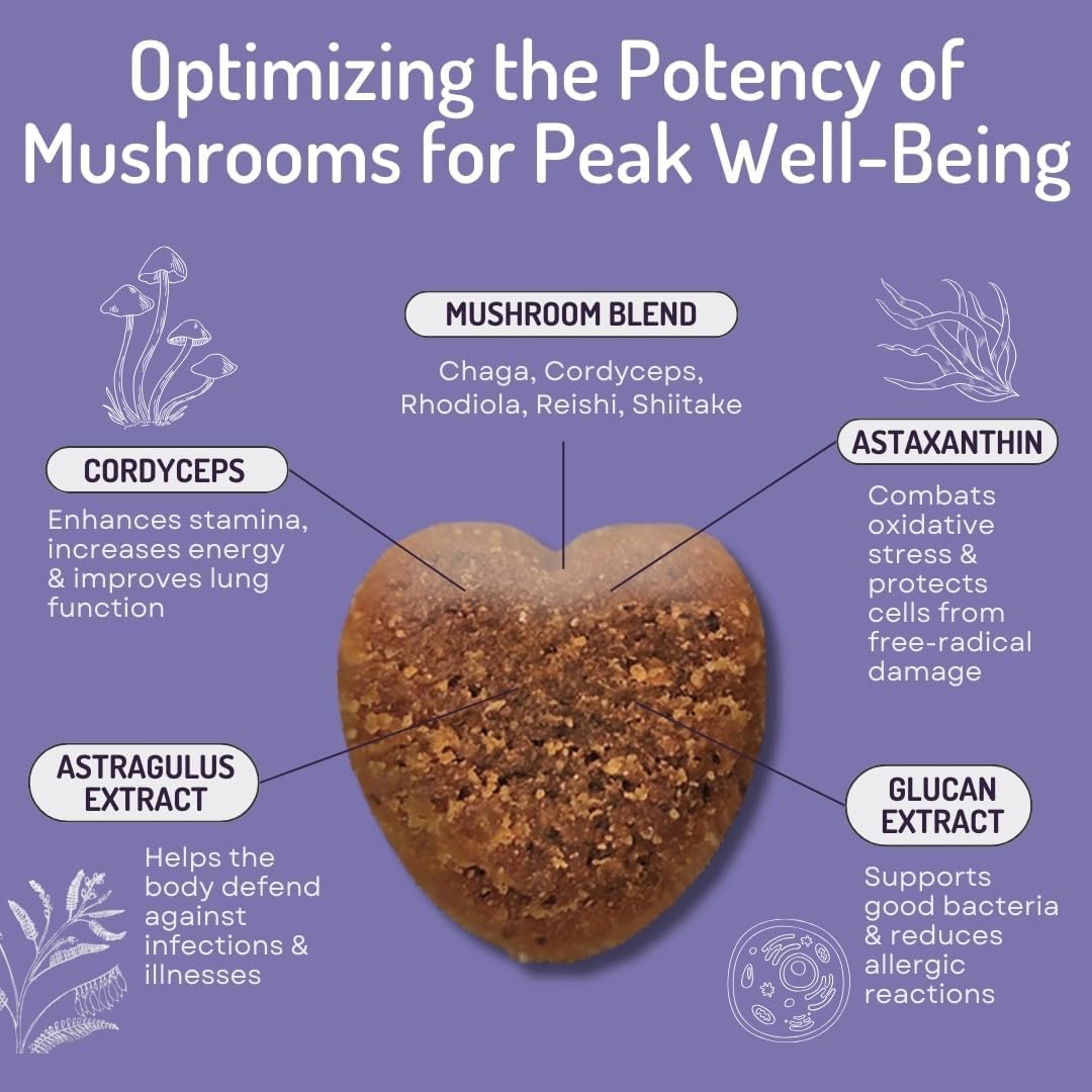 Dog Chews with Mushroom Immune Supplement for Vitality and Gut Health - No Animal Protein Formula